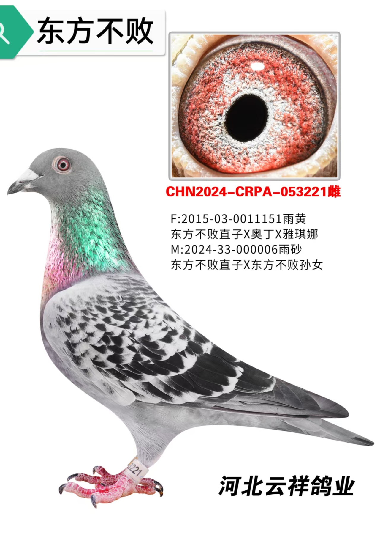 ��������006ֱŮ221