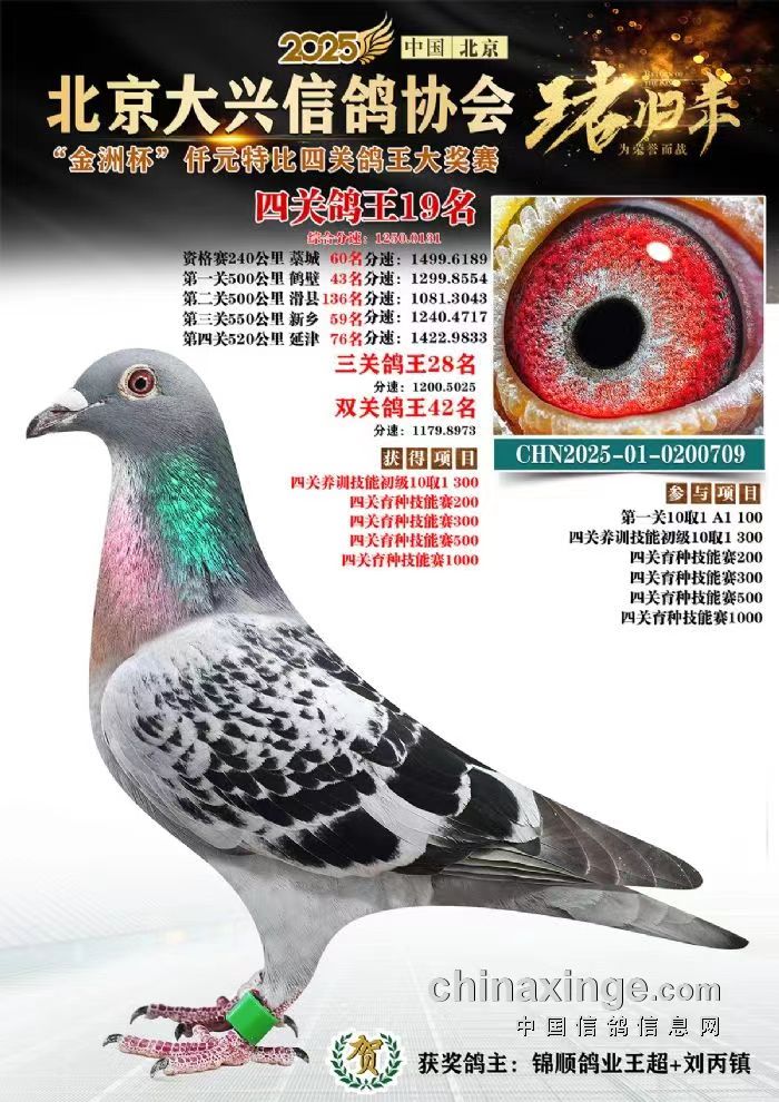 ���ݱ��Ĺظ���19��