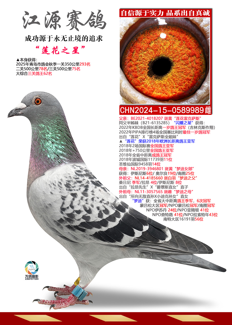 ����֮��-����