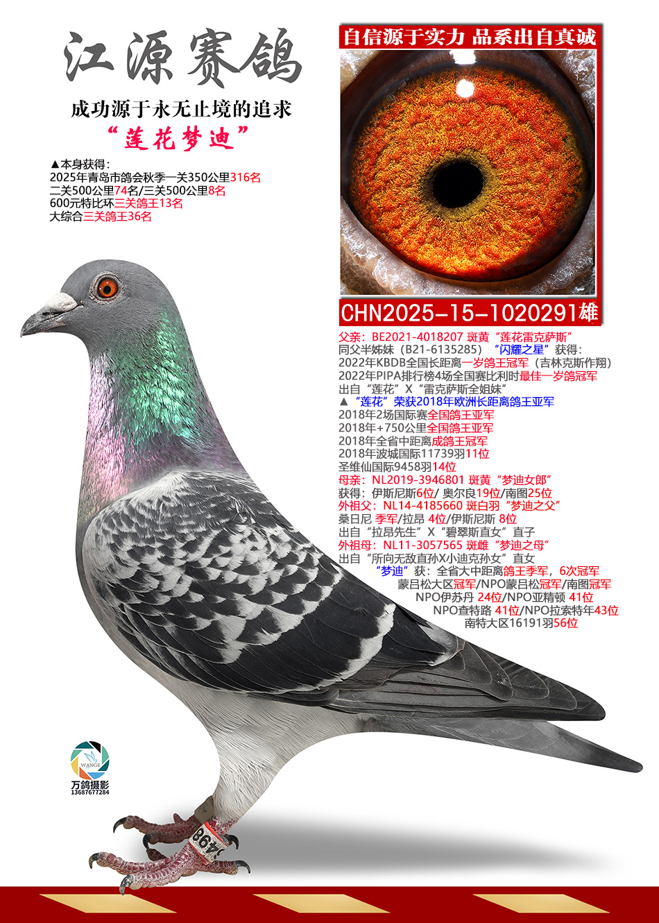 �����ε�-����