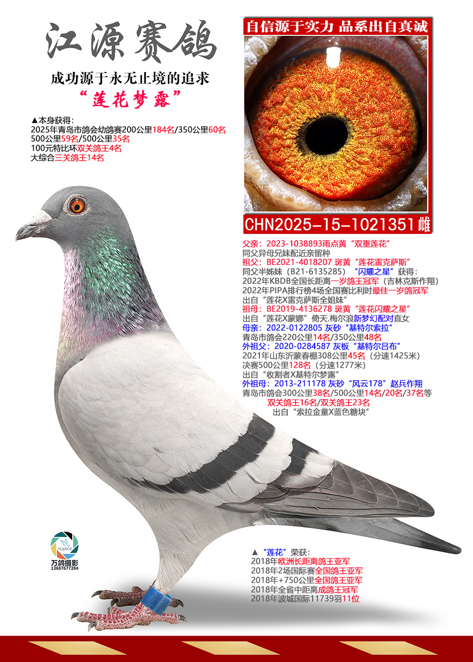 ������¶-����