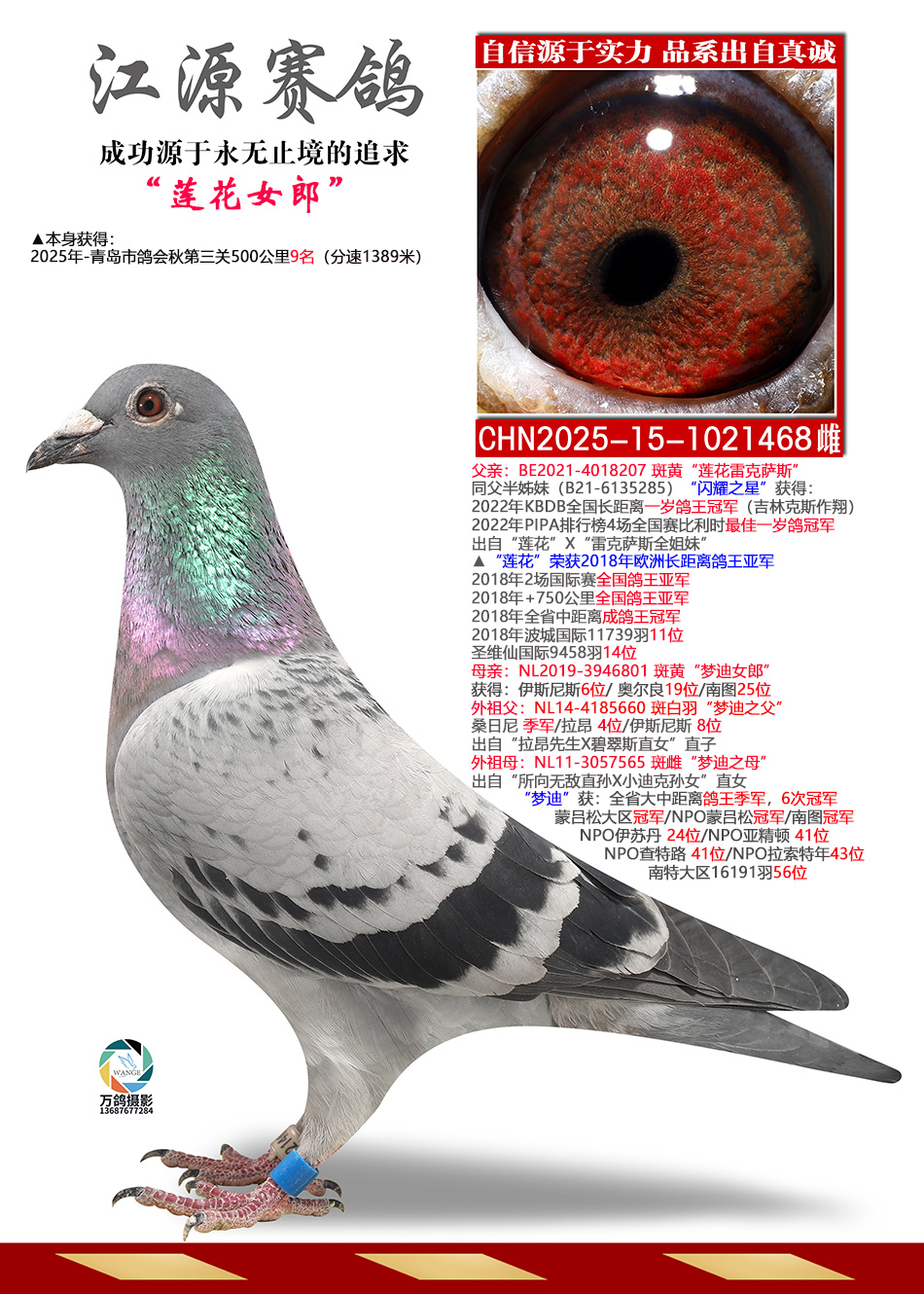 ����Ů��-����