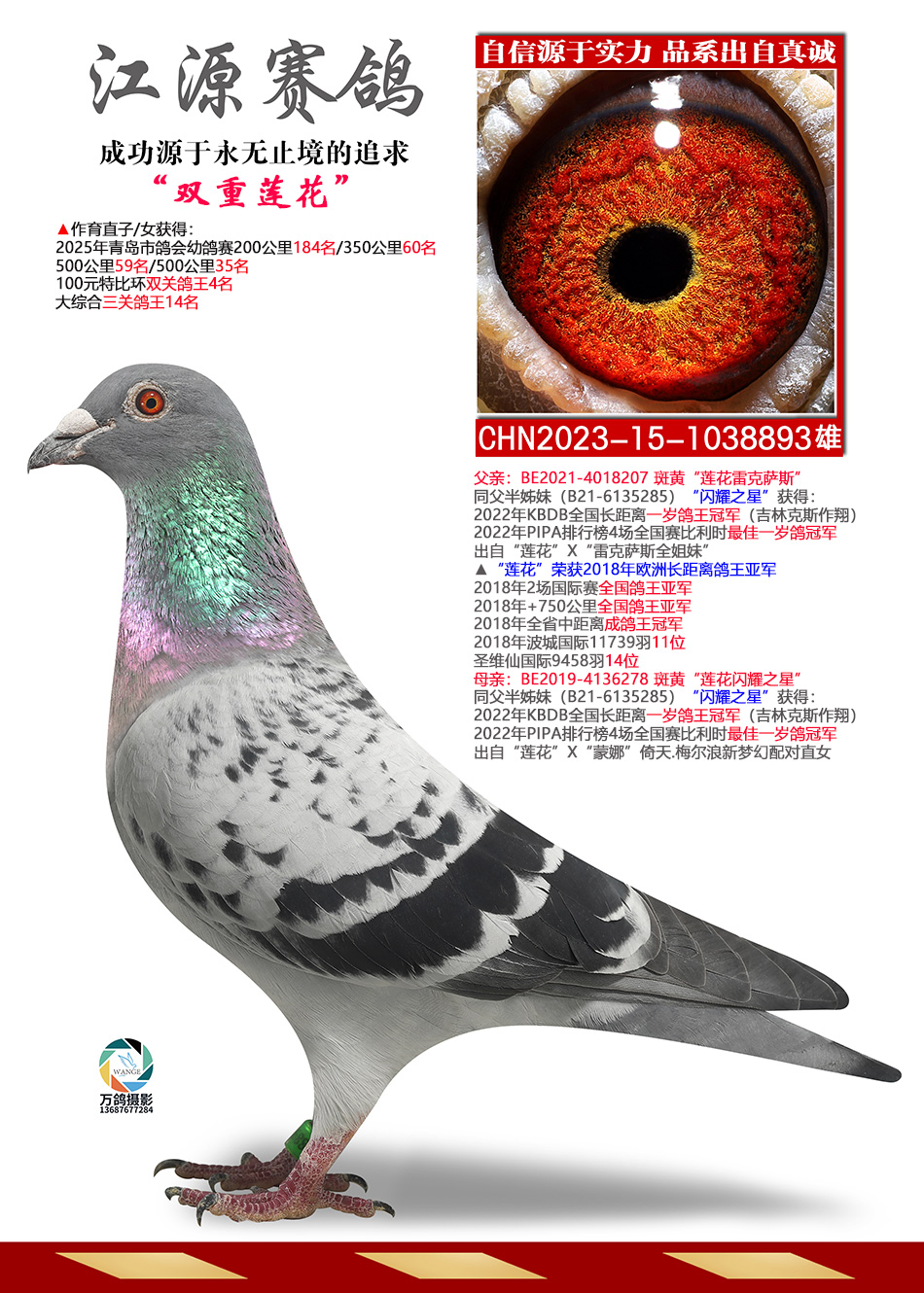 ˫������-����