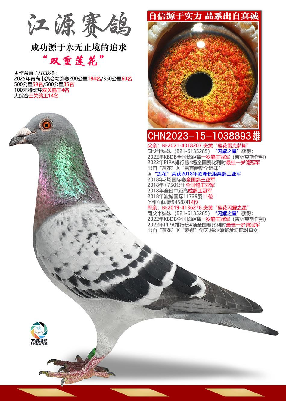 ˫������-����