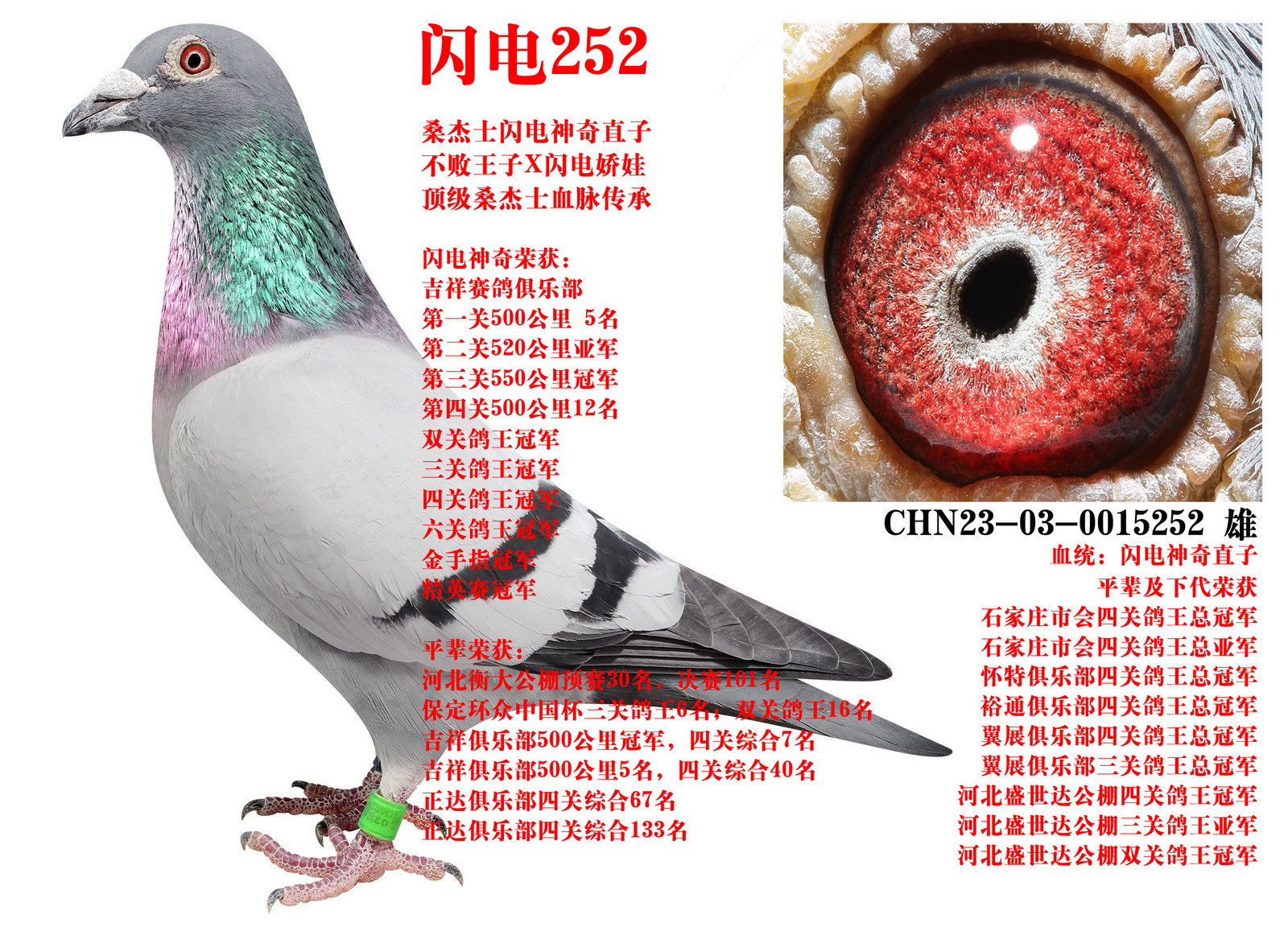 ɣ��ʿ ����252