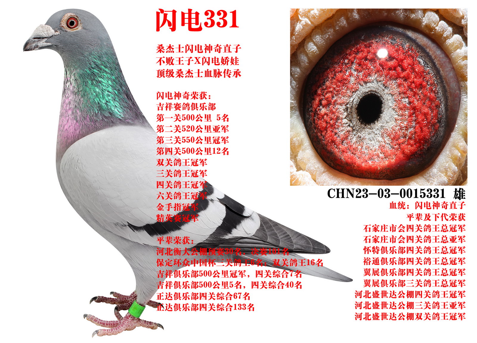 ɣ��ʿ ����331