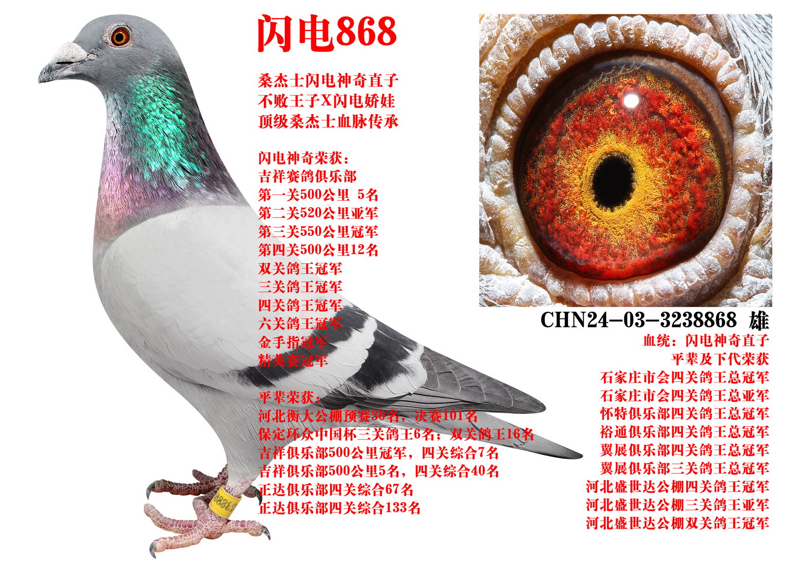 ɣ��ʿ ����868