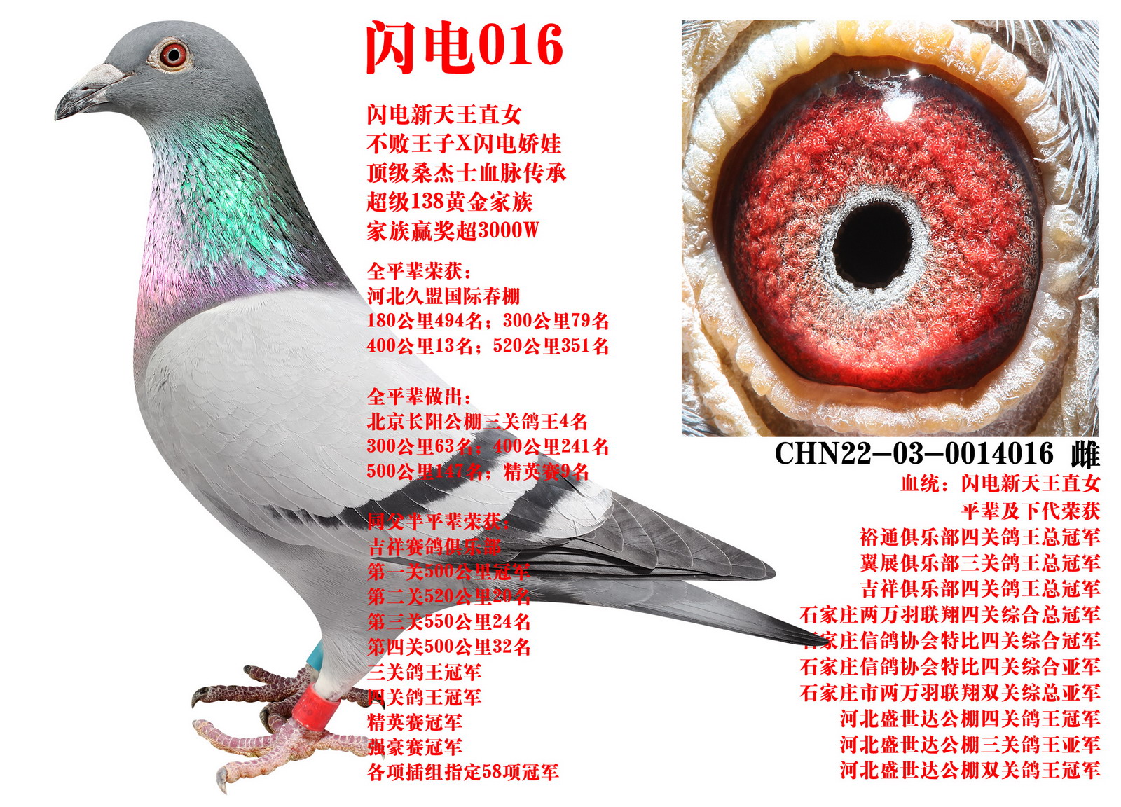 ɣ��ʿ ����016