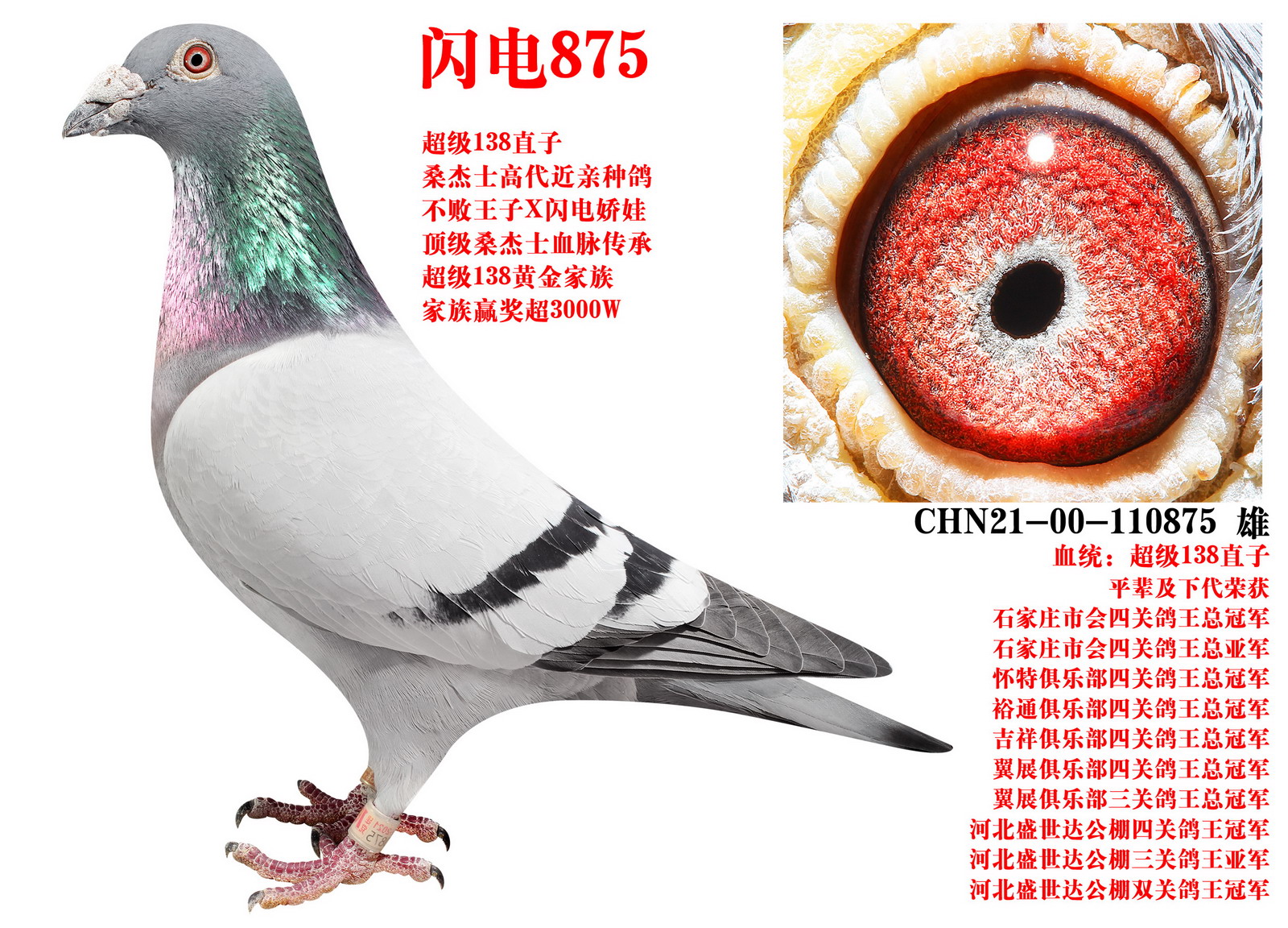 ɣ��ʿ ����875