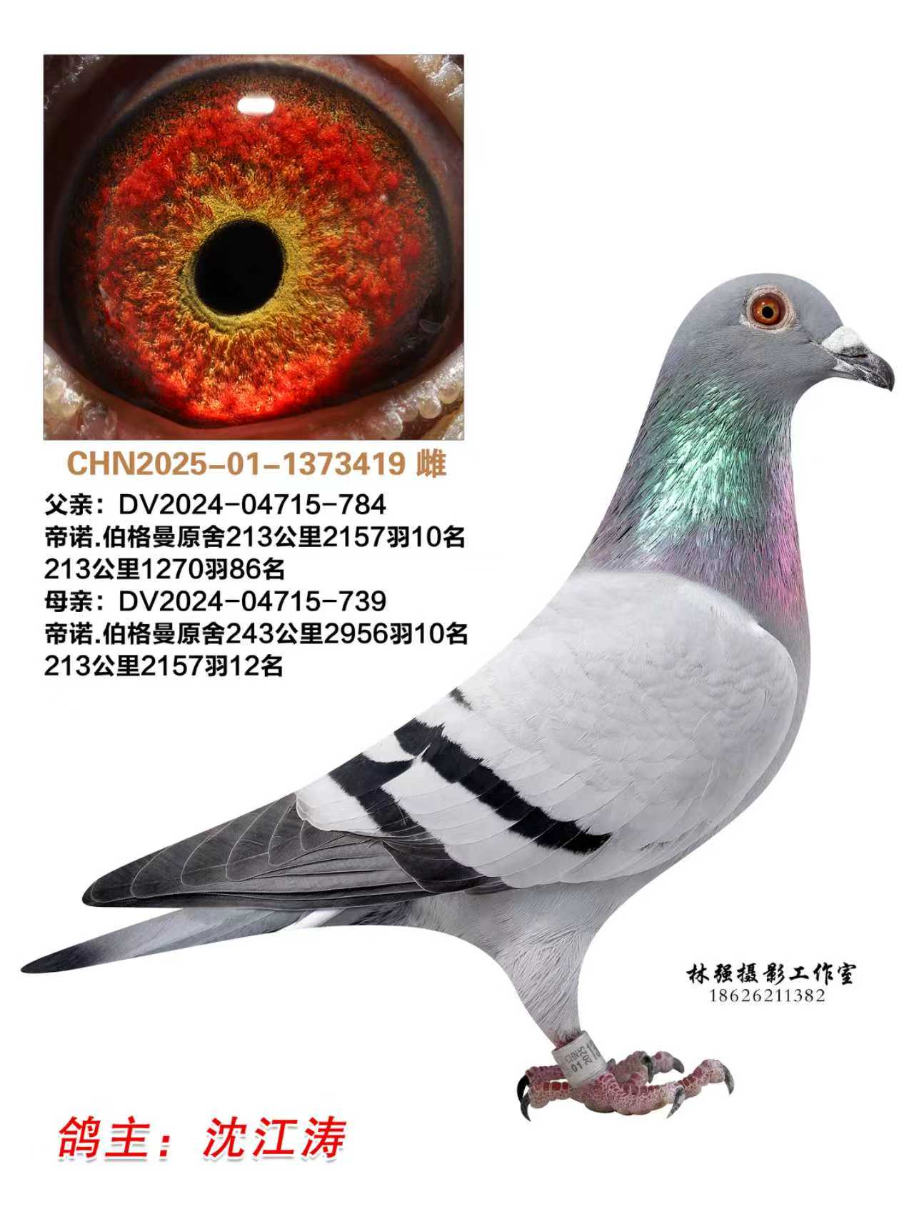 ������419