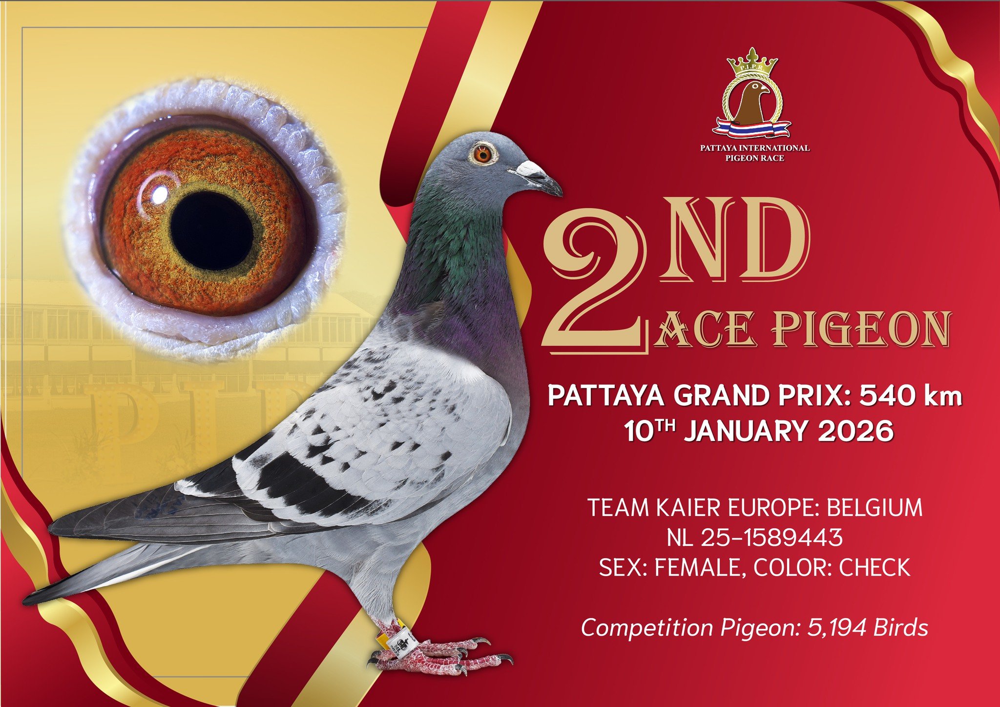 25��̩�������Ÿ����Ǿ�������16��