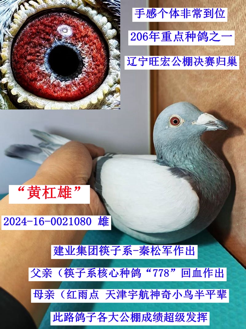 ����������ҵ-����ϵ