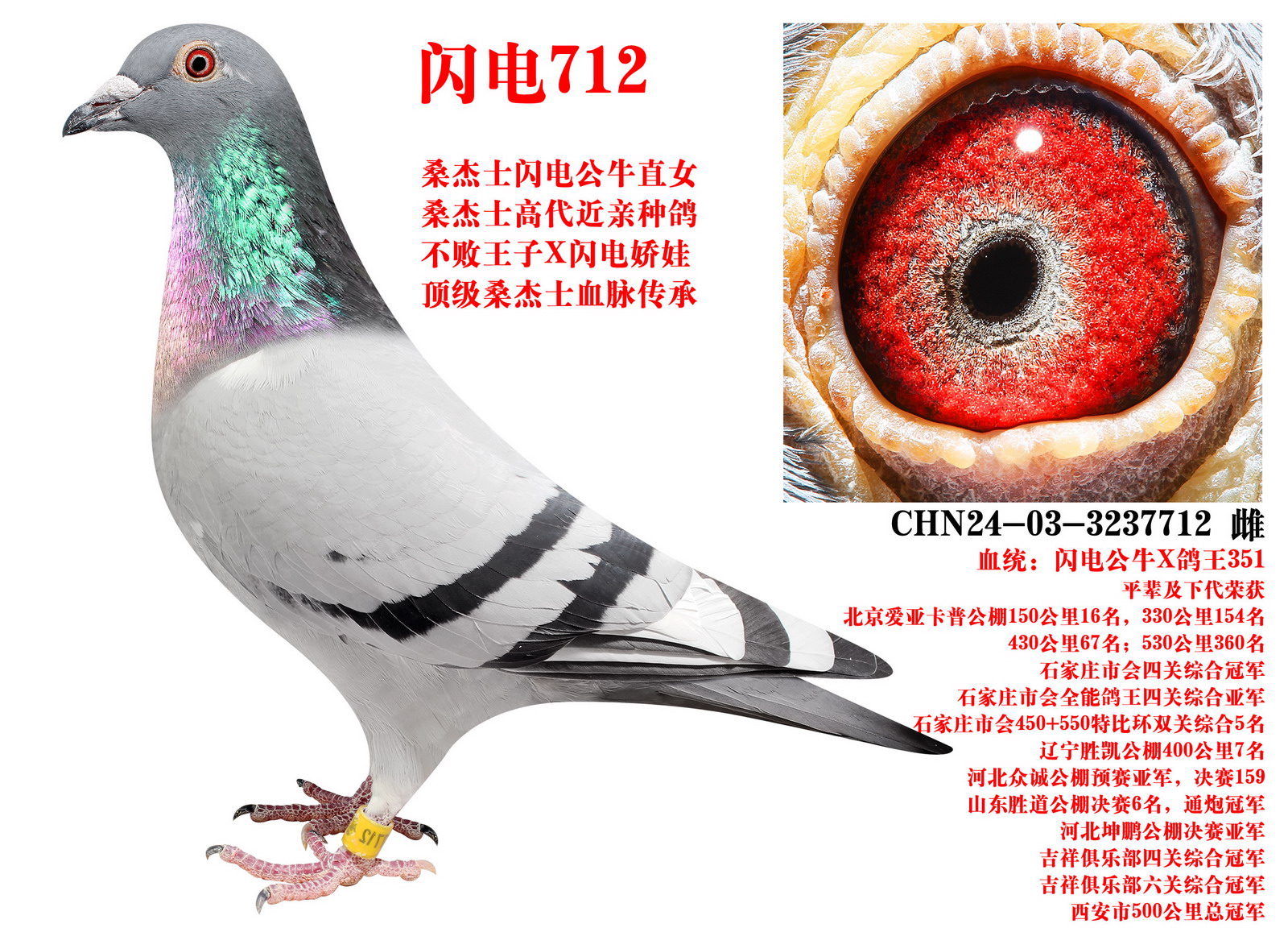 ɣ��ʿ ����712