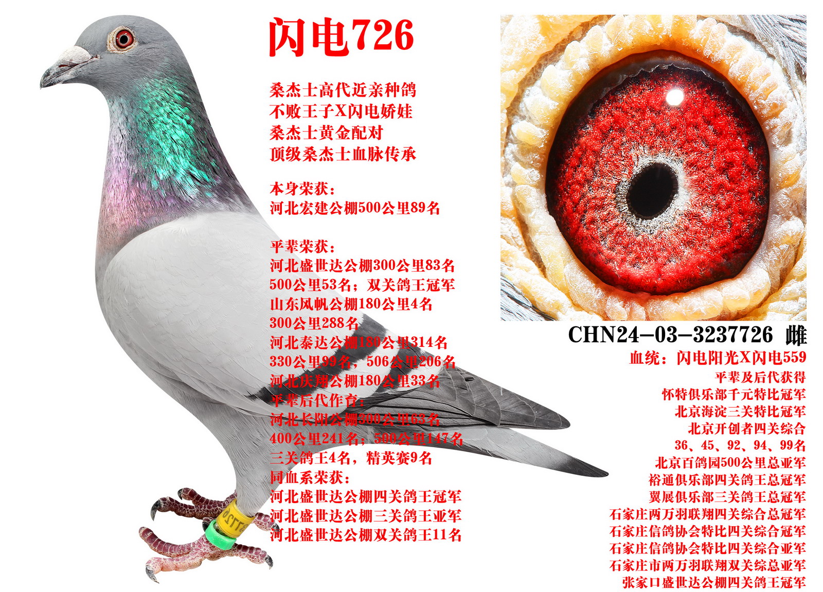 ɣ��ʿ ����726