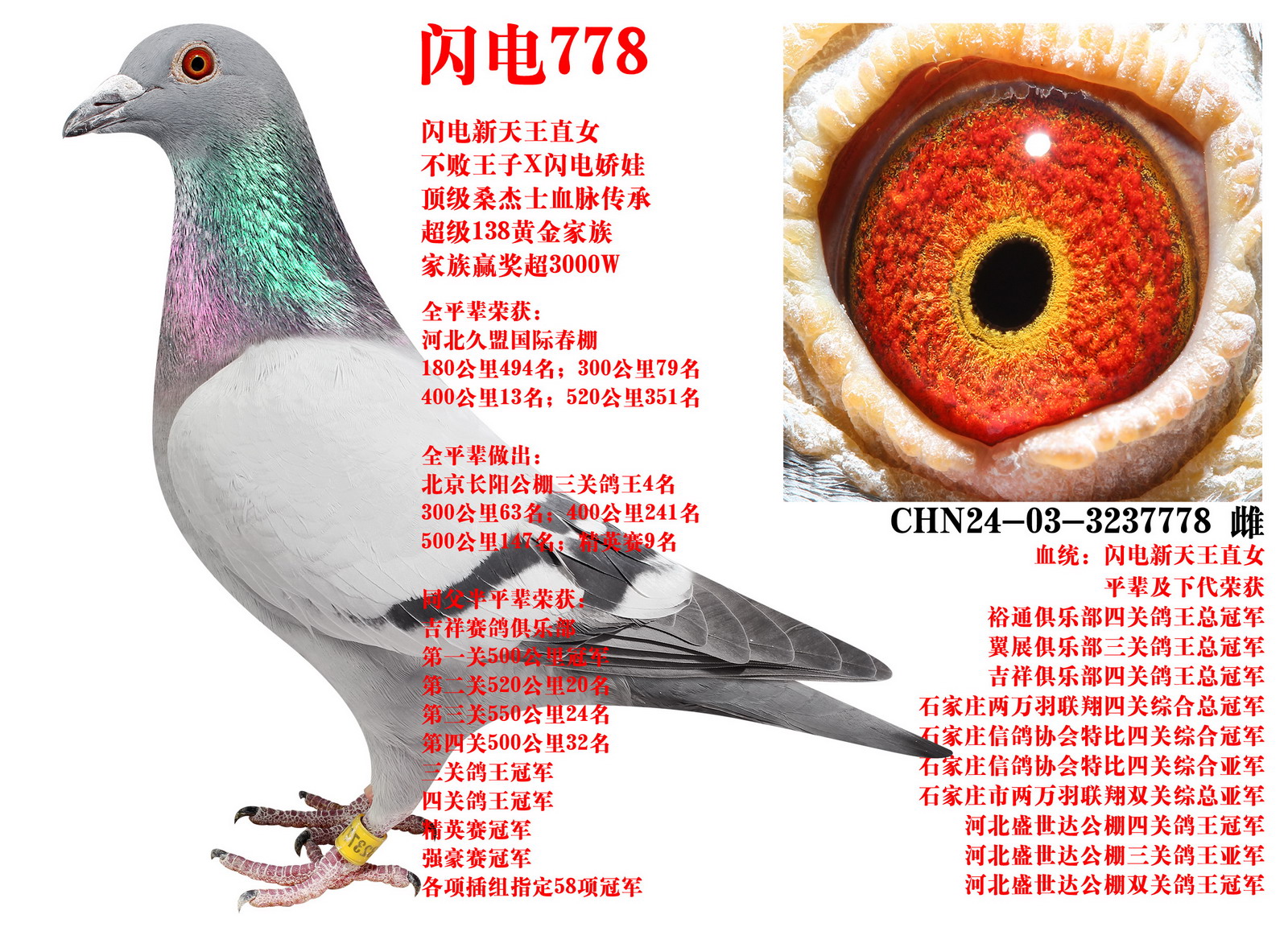 ɣ��ʿ ����778