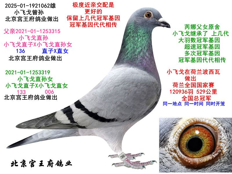 ���ȡ�С�ɸ꡿����