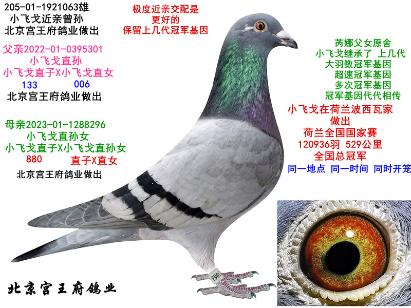 ���ȡ�С�ɸ꡿����