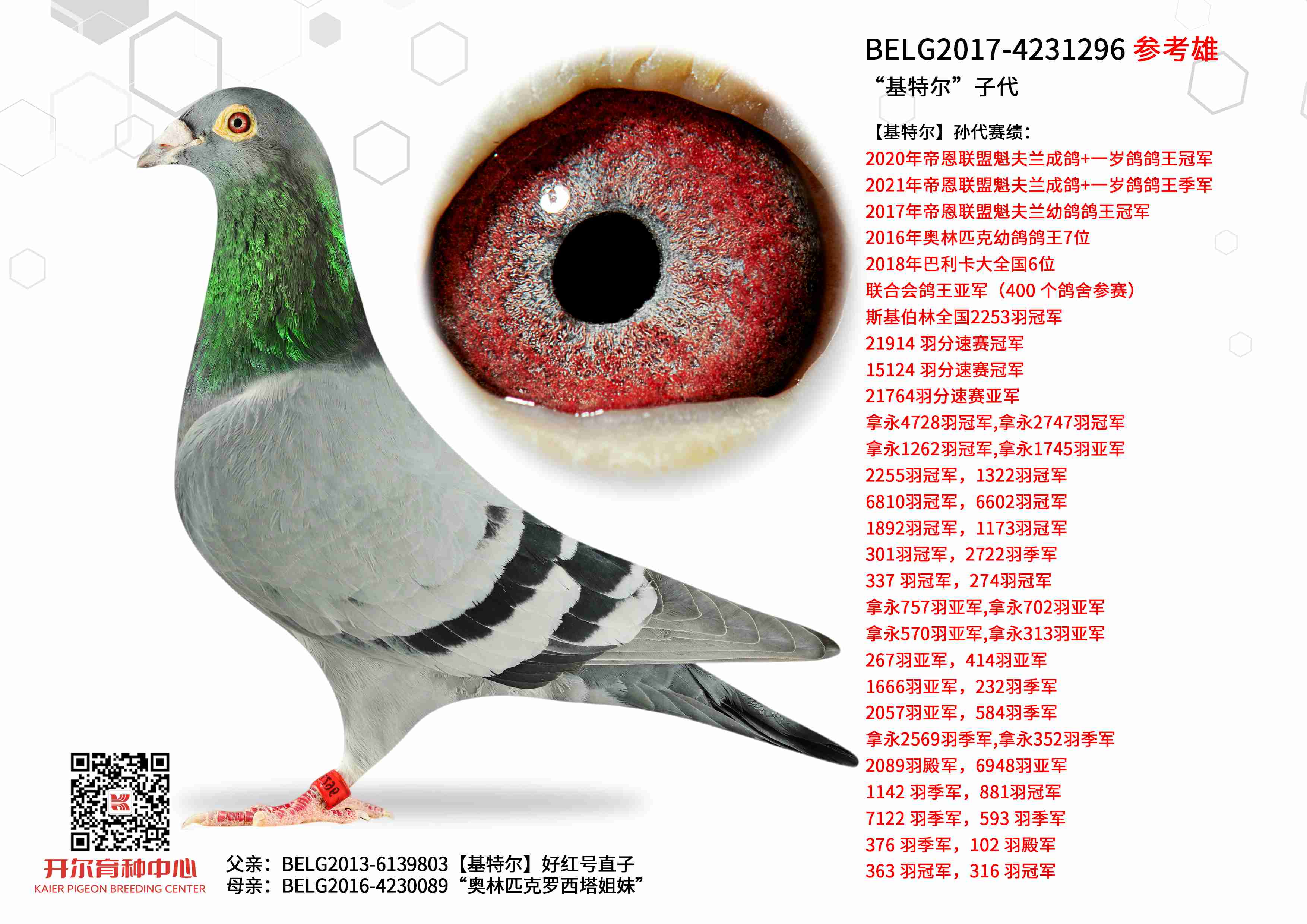 �����ض����Ӵ�