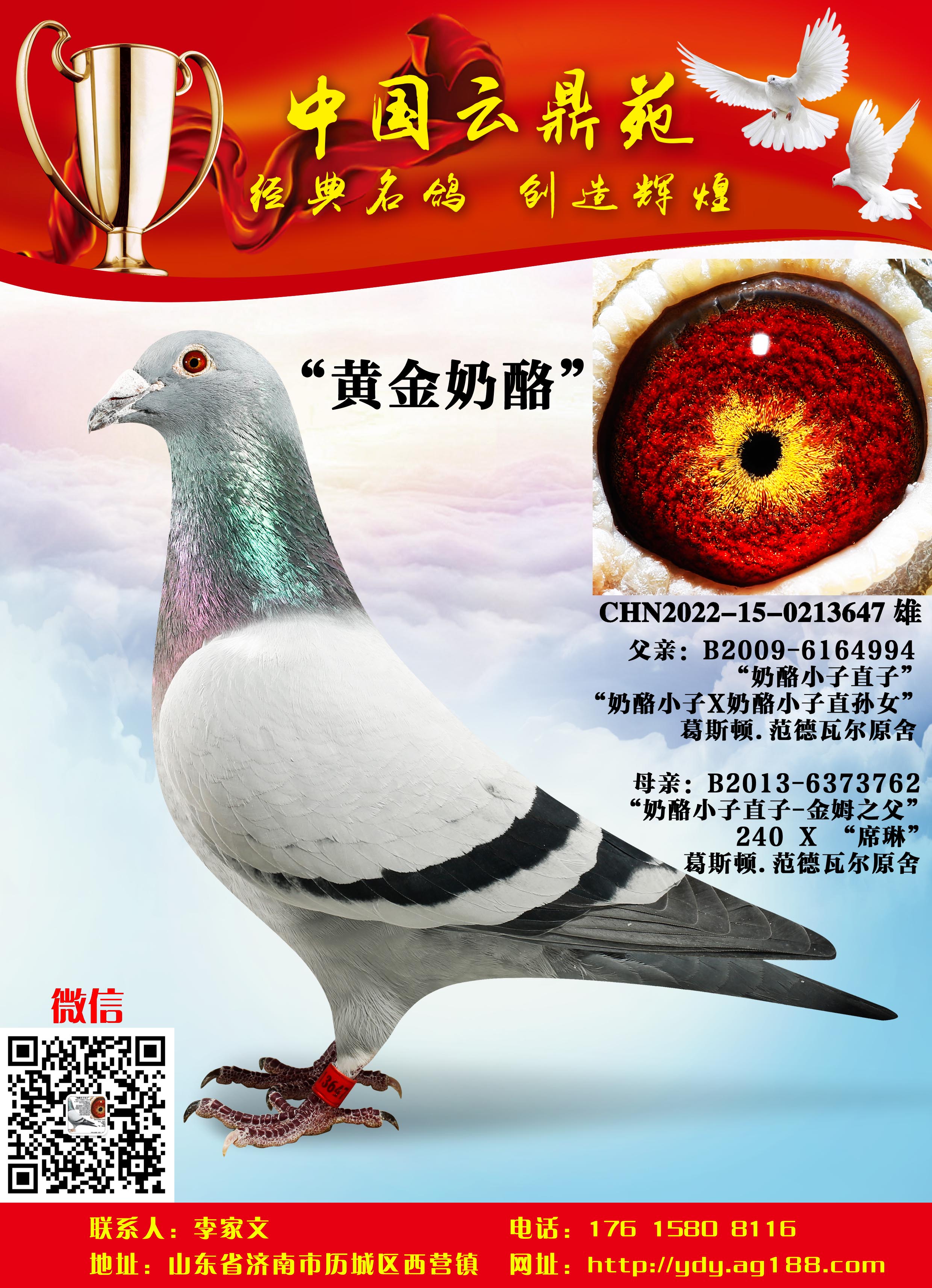 �ƽ�����