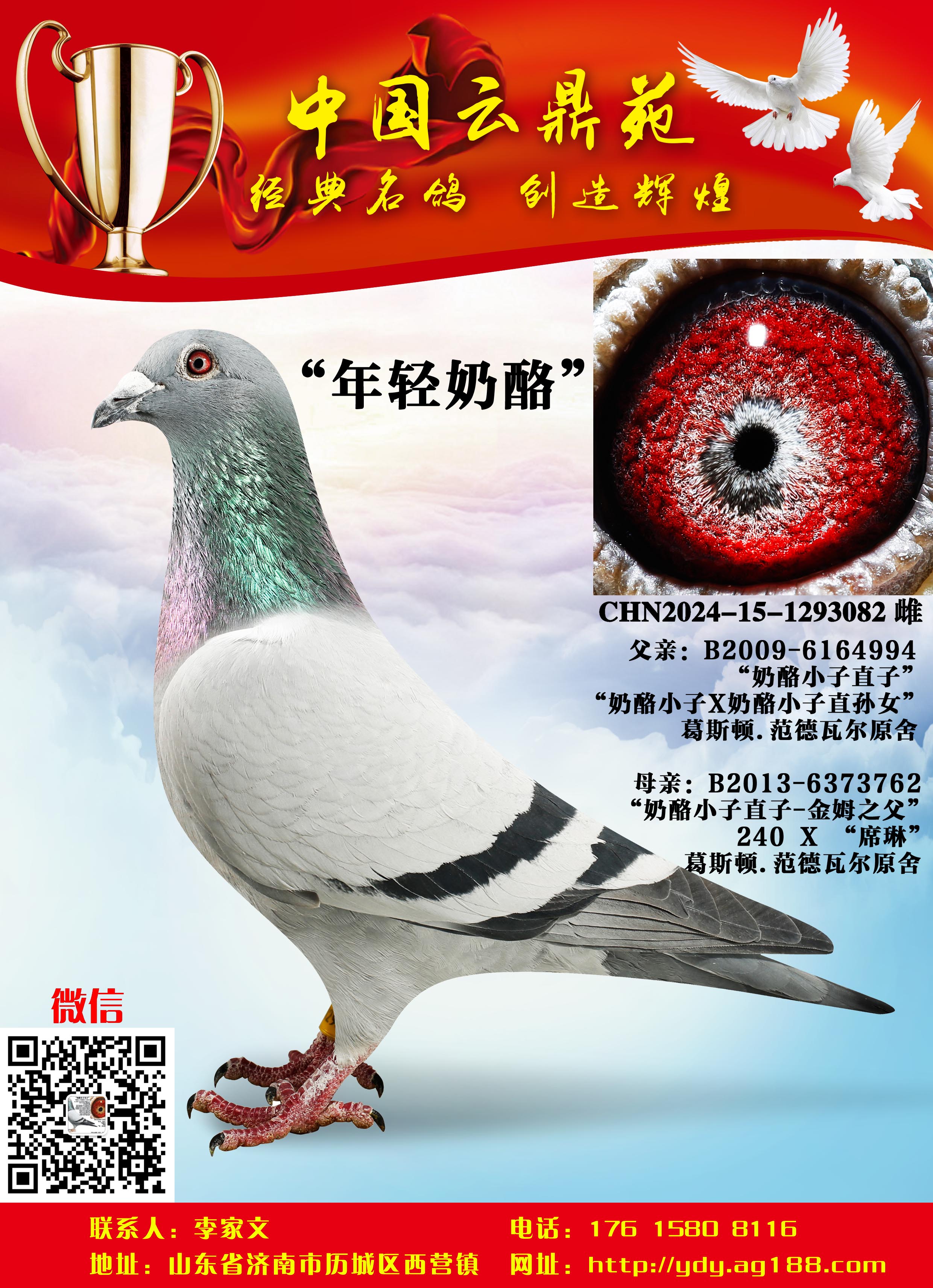 ���� ����