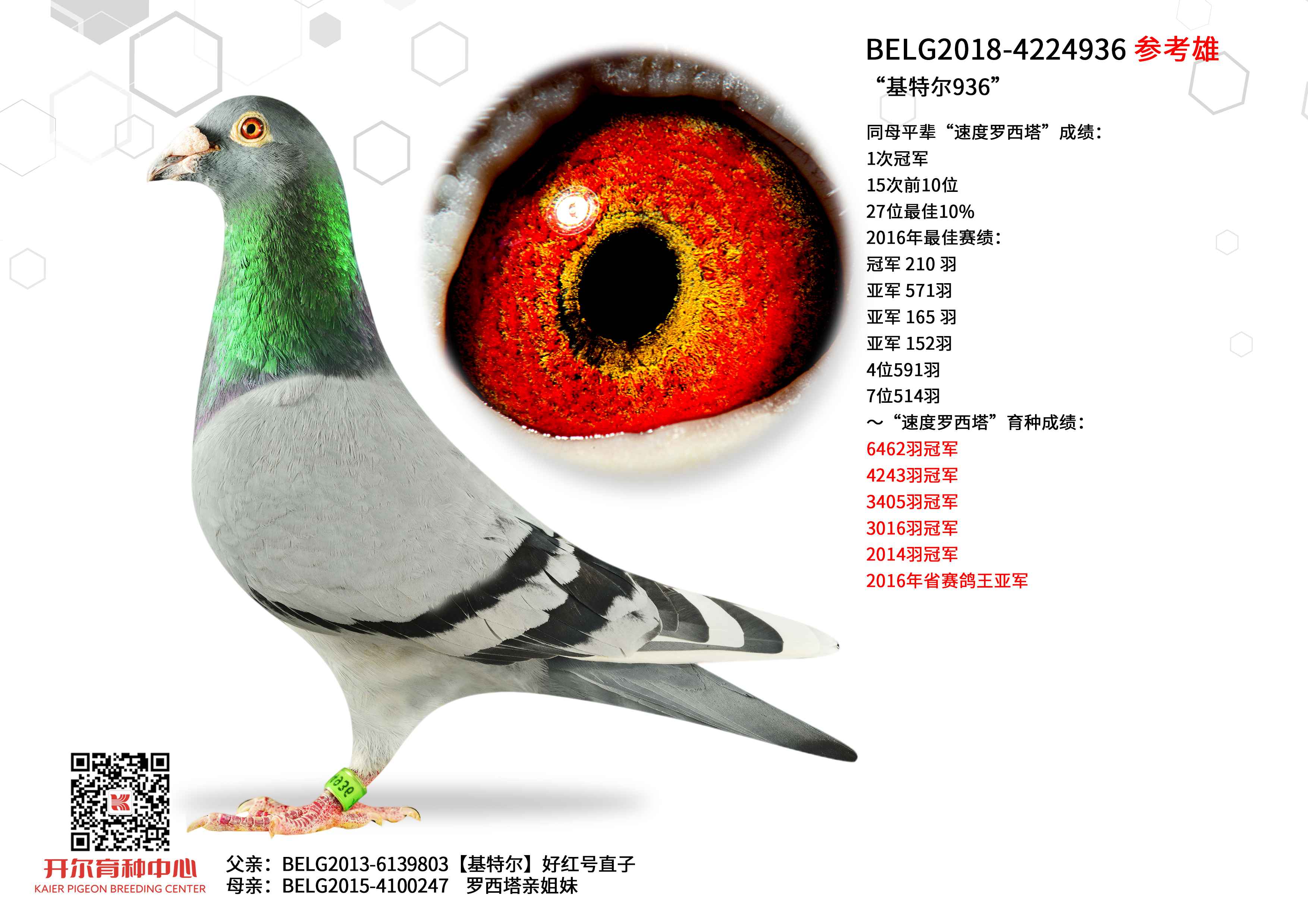 �����ض�936��