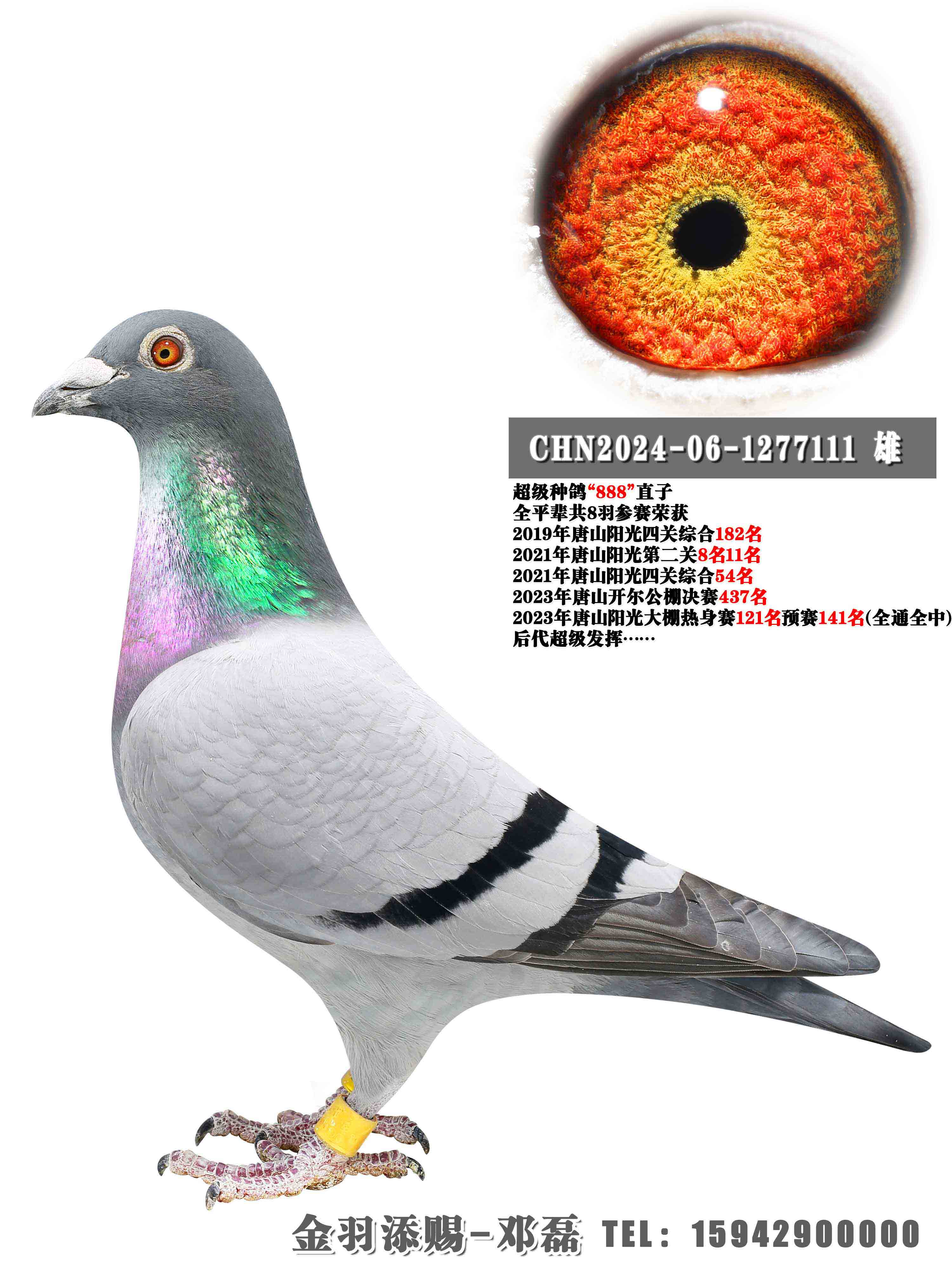 �����ָ롰888������ֱ��