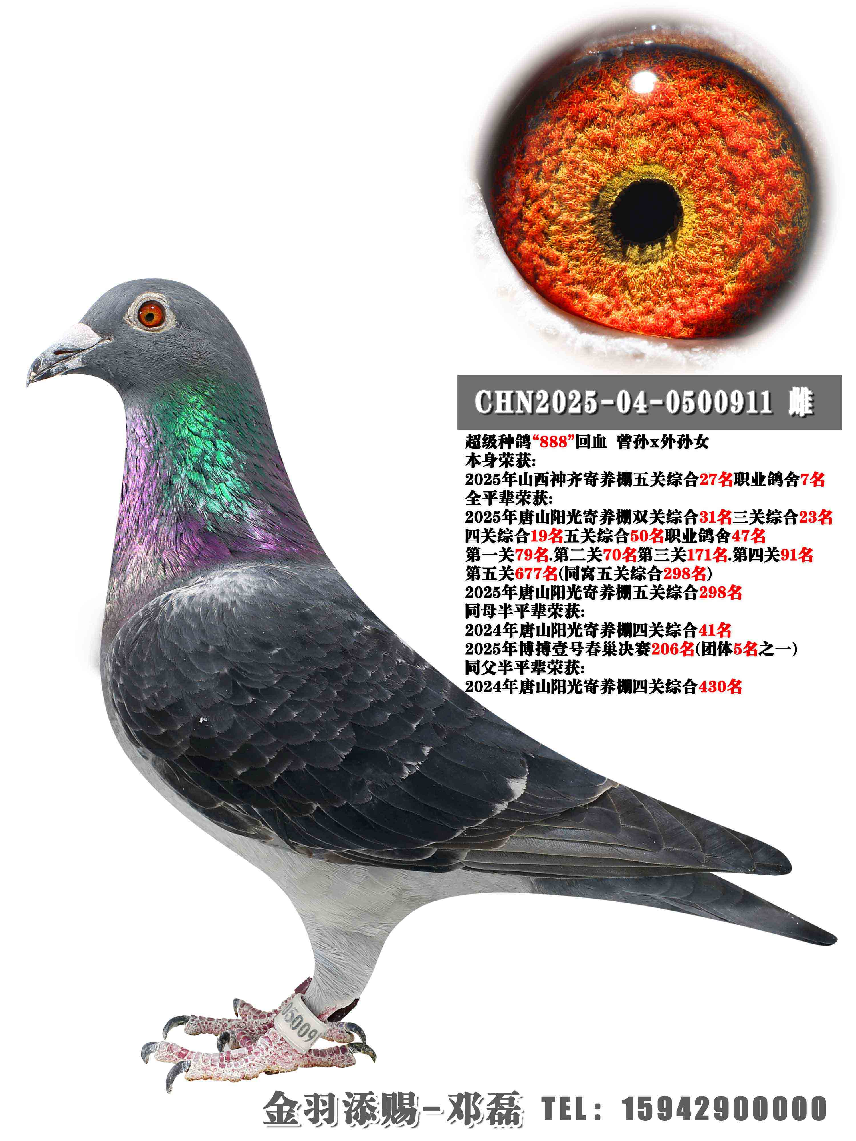 2025����������ۺ�27��ְҵ����7��