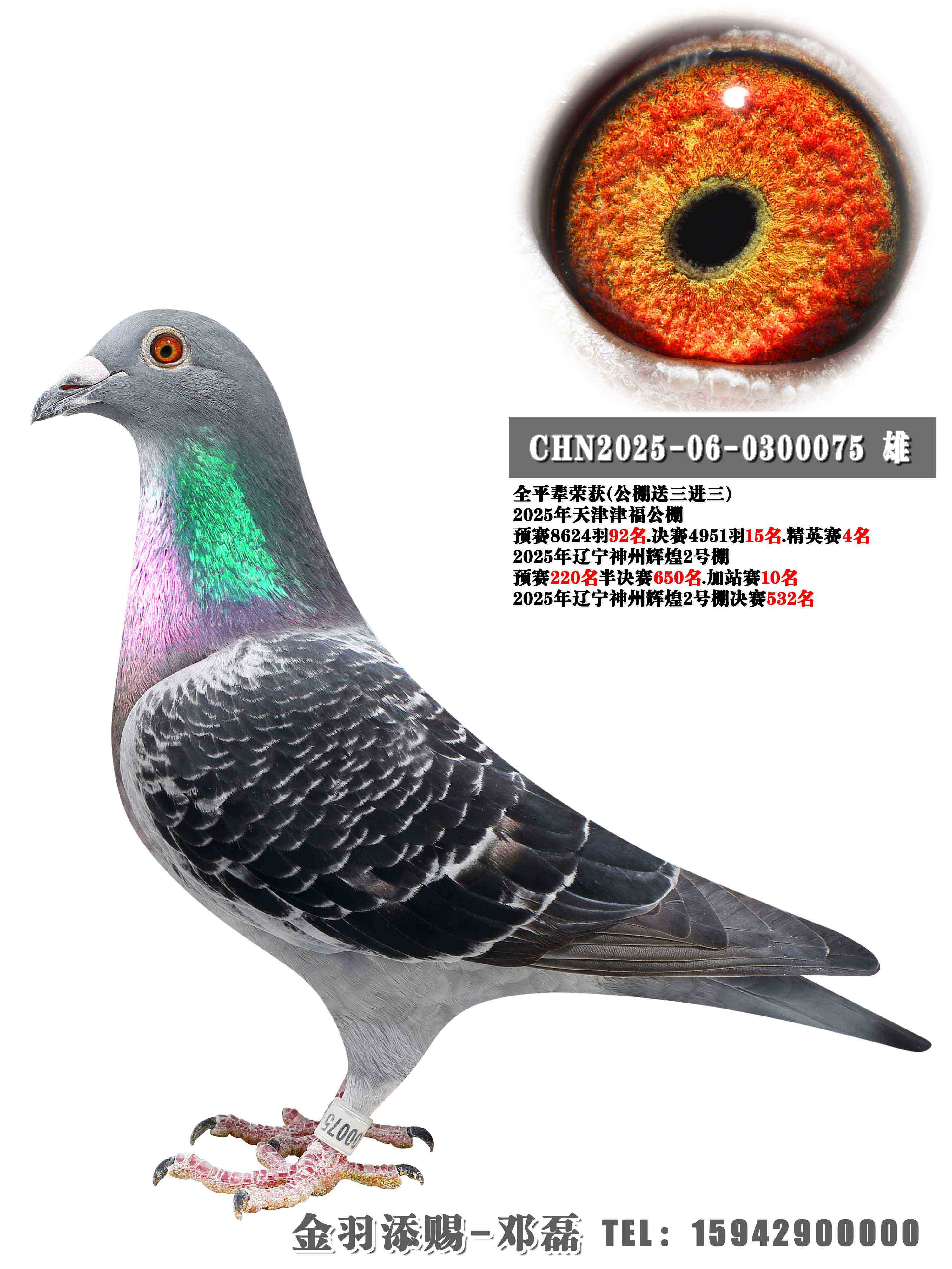 ���δ��椸�������