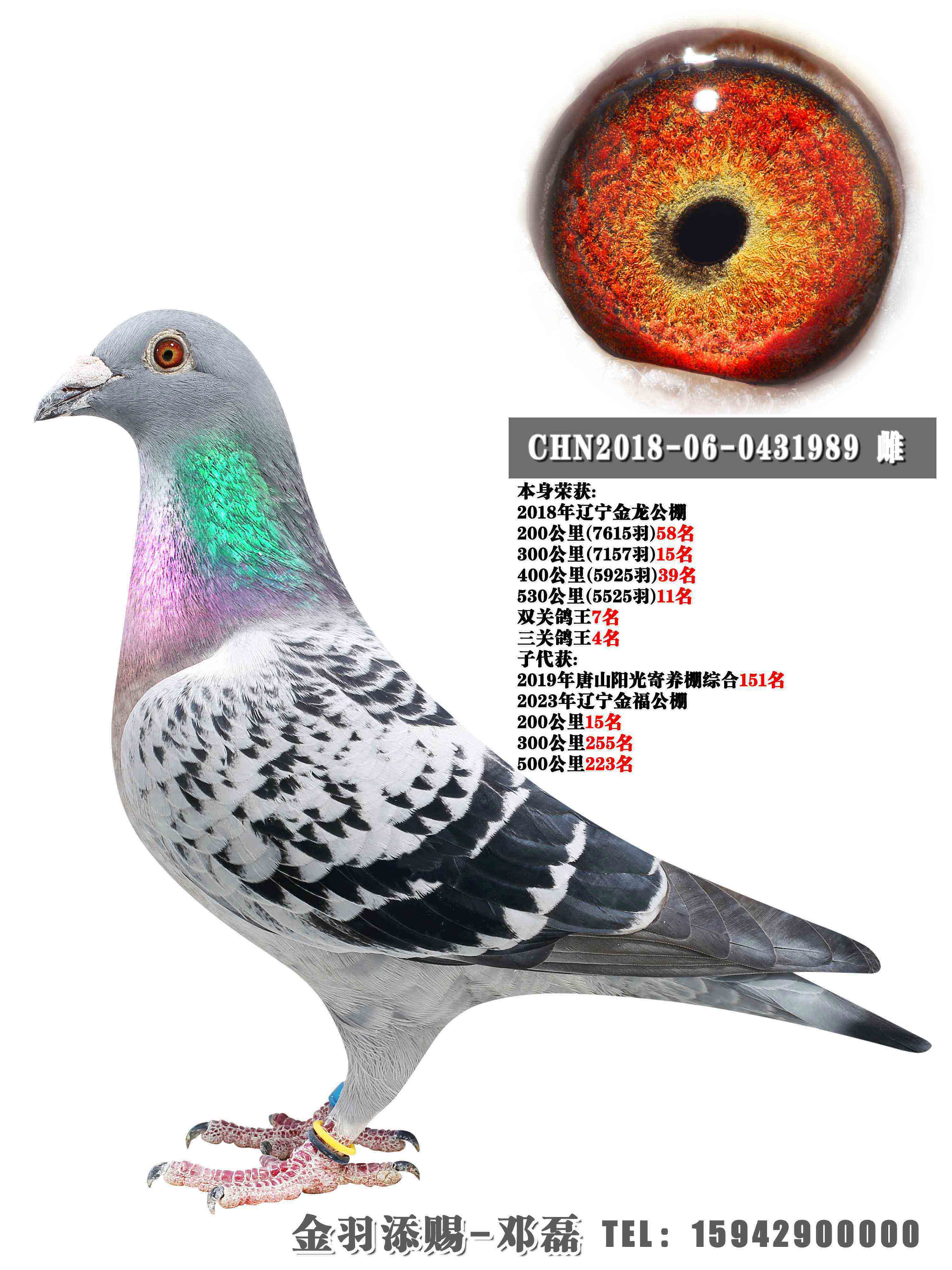 2018������������ظ���4��