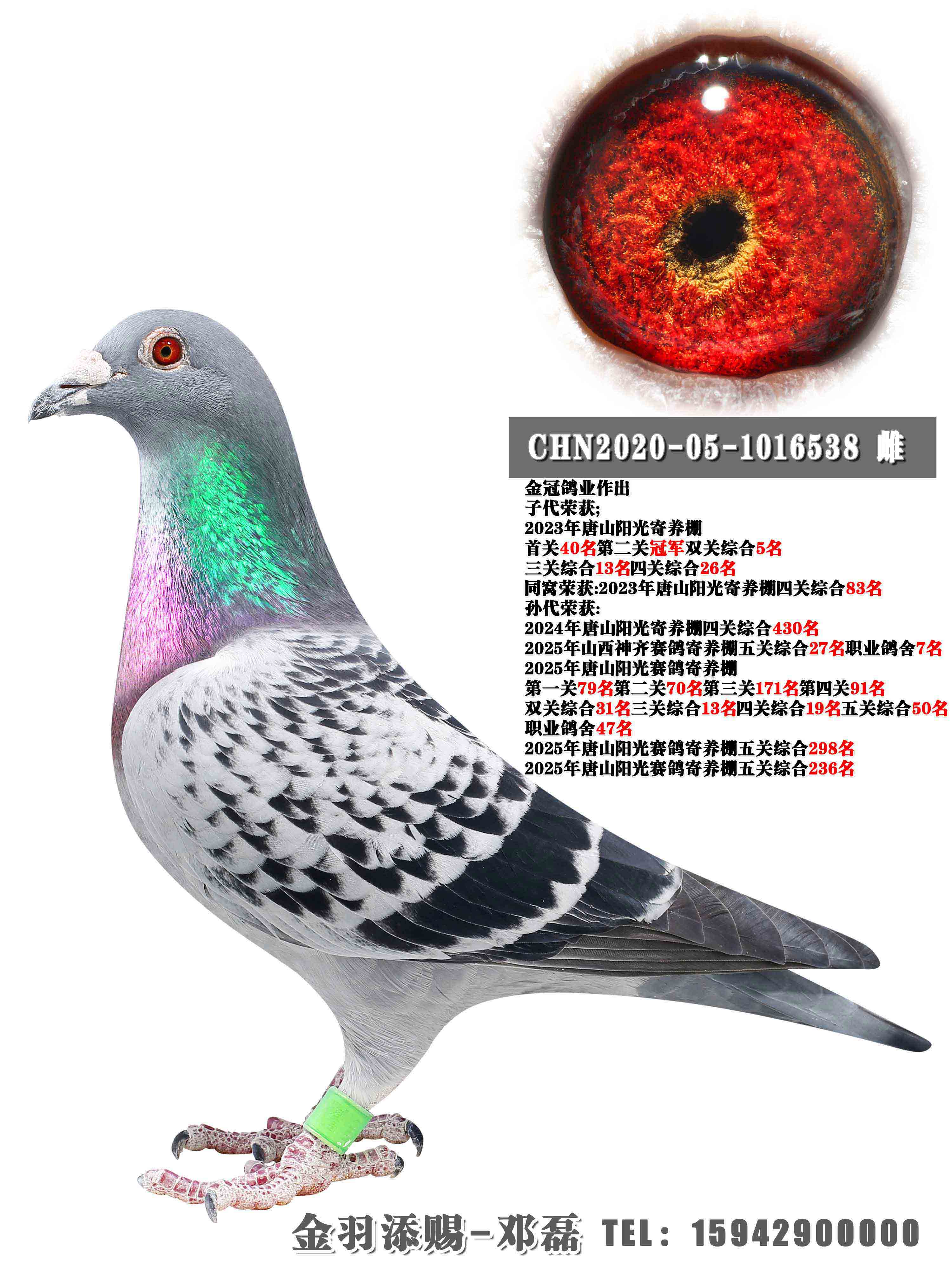 2023����ɽ���������ھ�֮ĸ