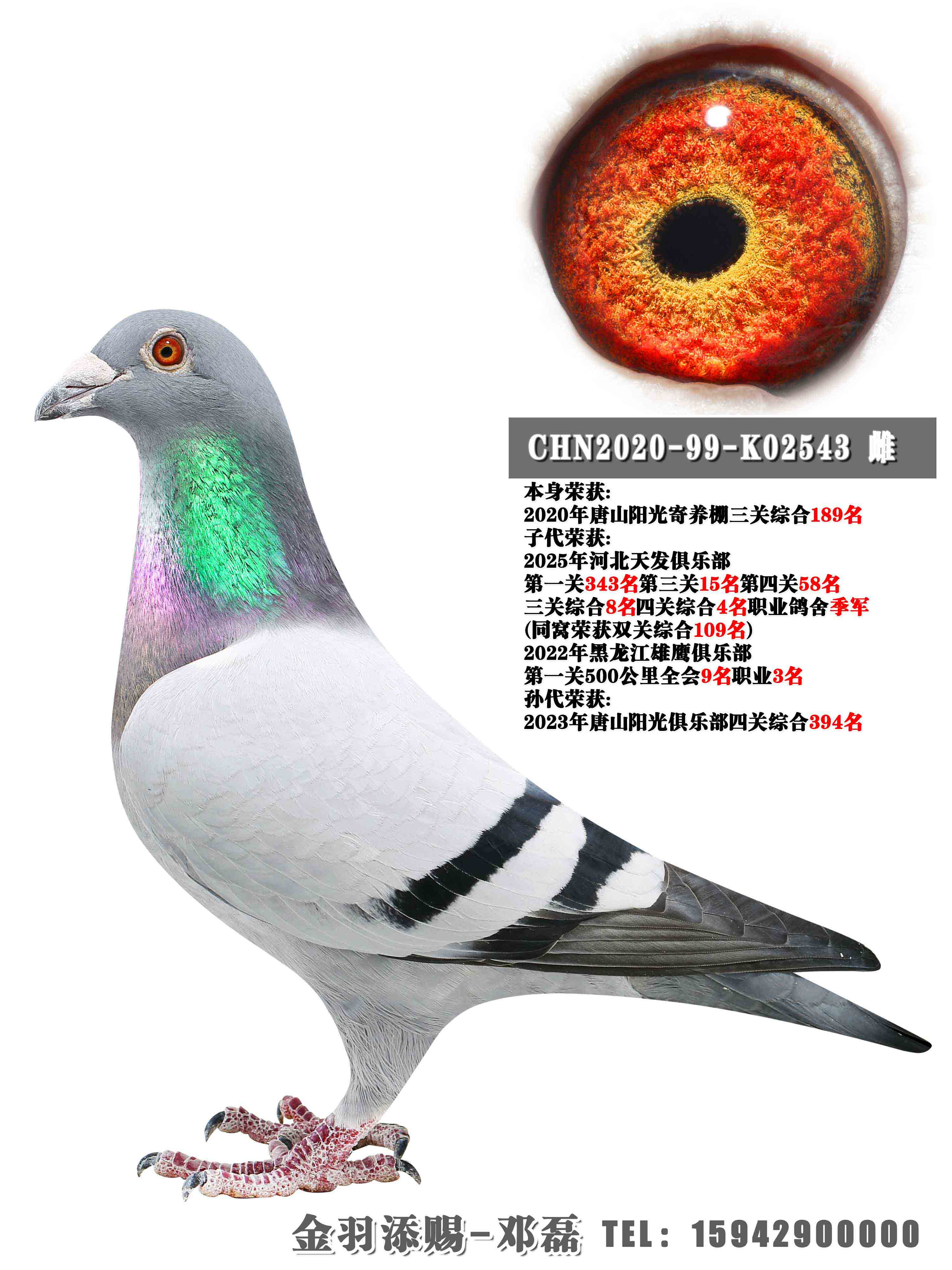 2020����ɽ��������������ۺ�189��