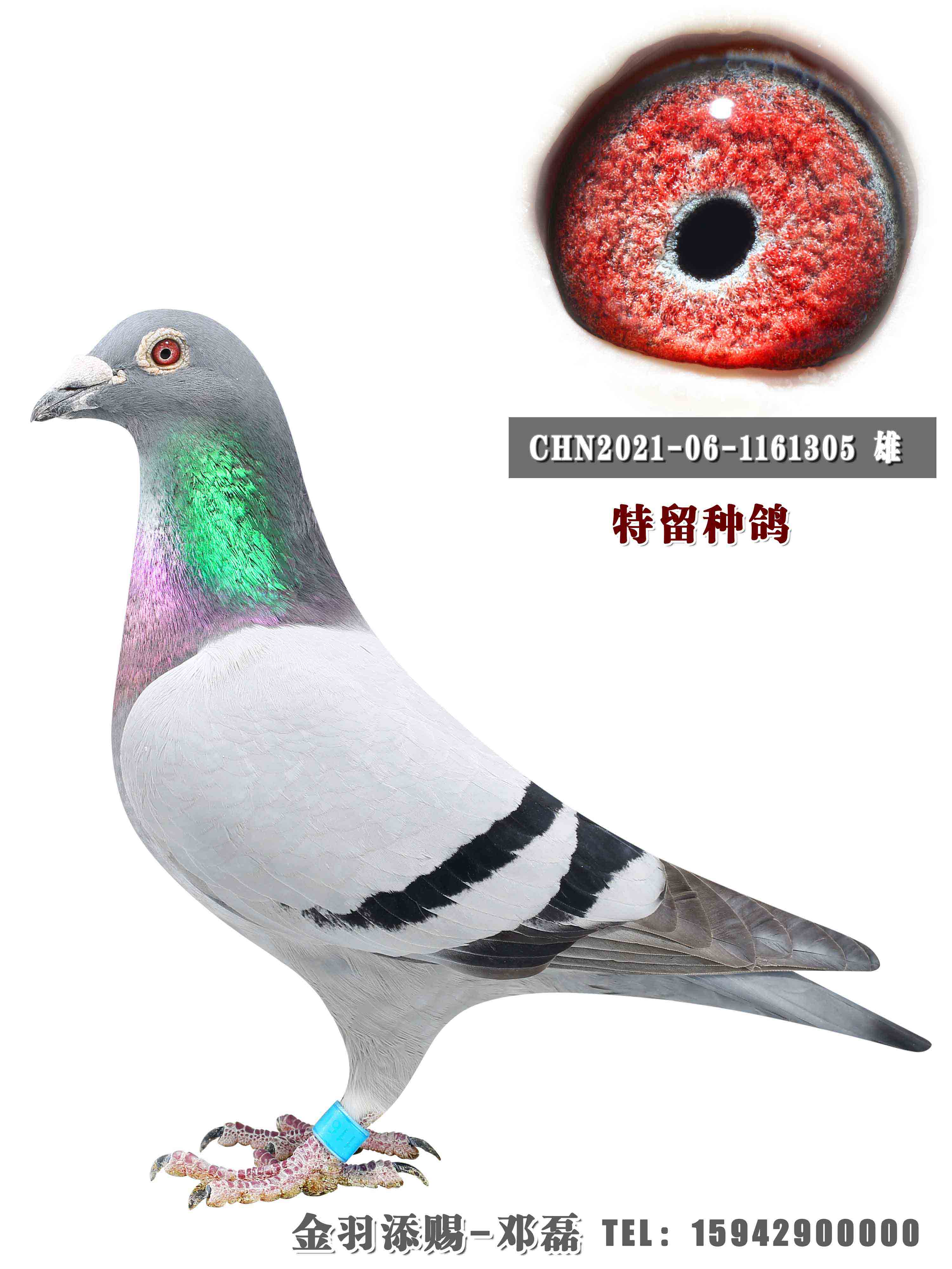 �����ָ�305