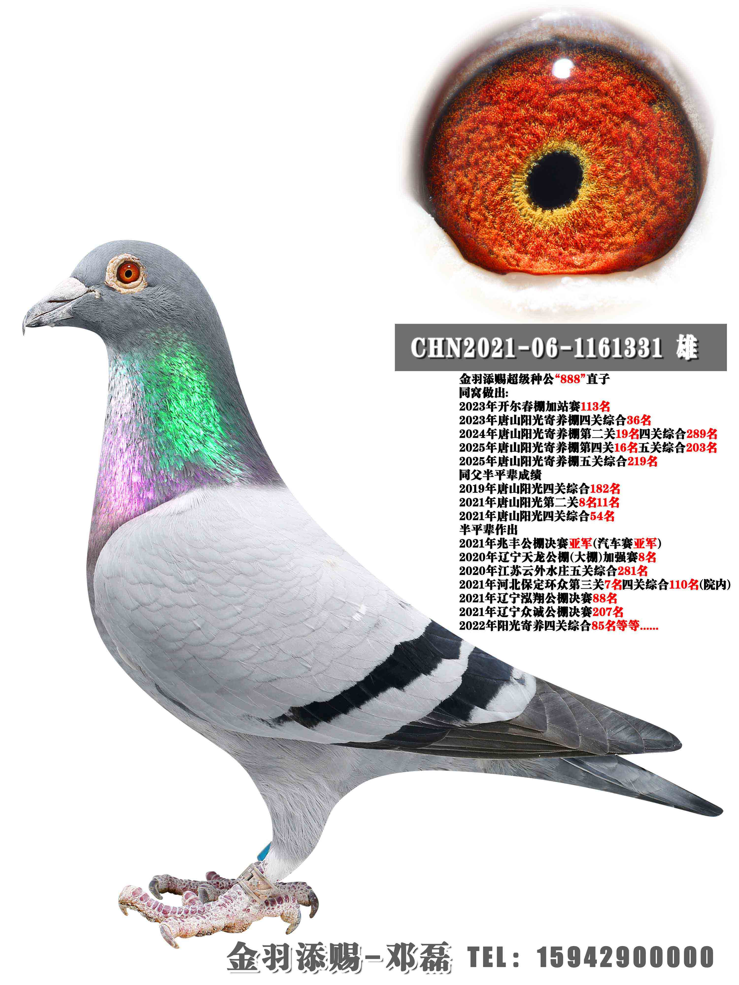 �����ָ롰888������ֱ��