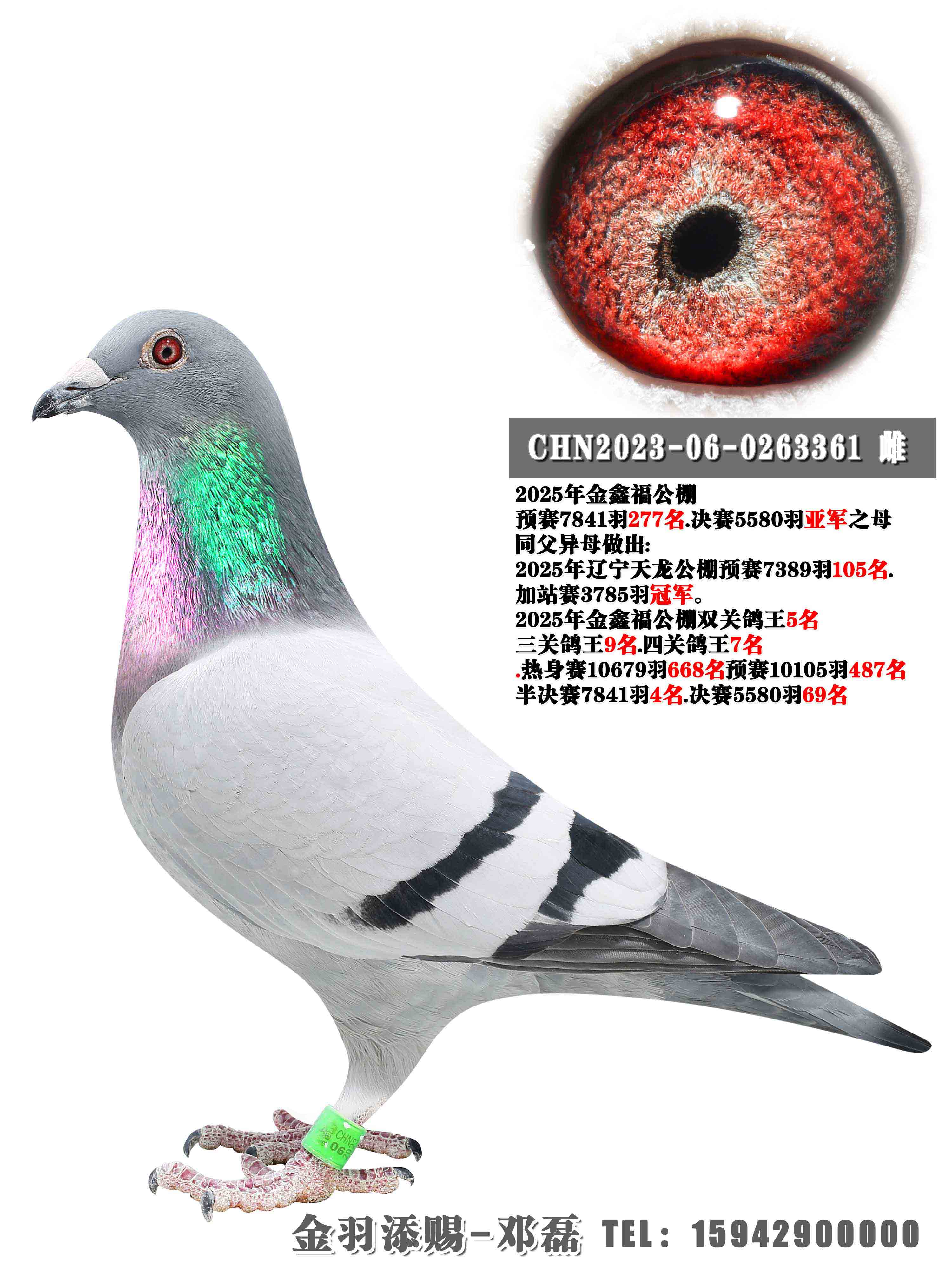 2025����θ������Ǿ�֮ĸ