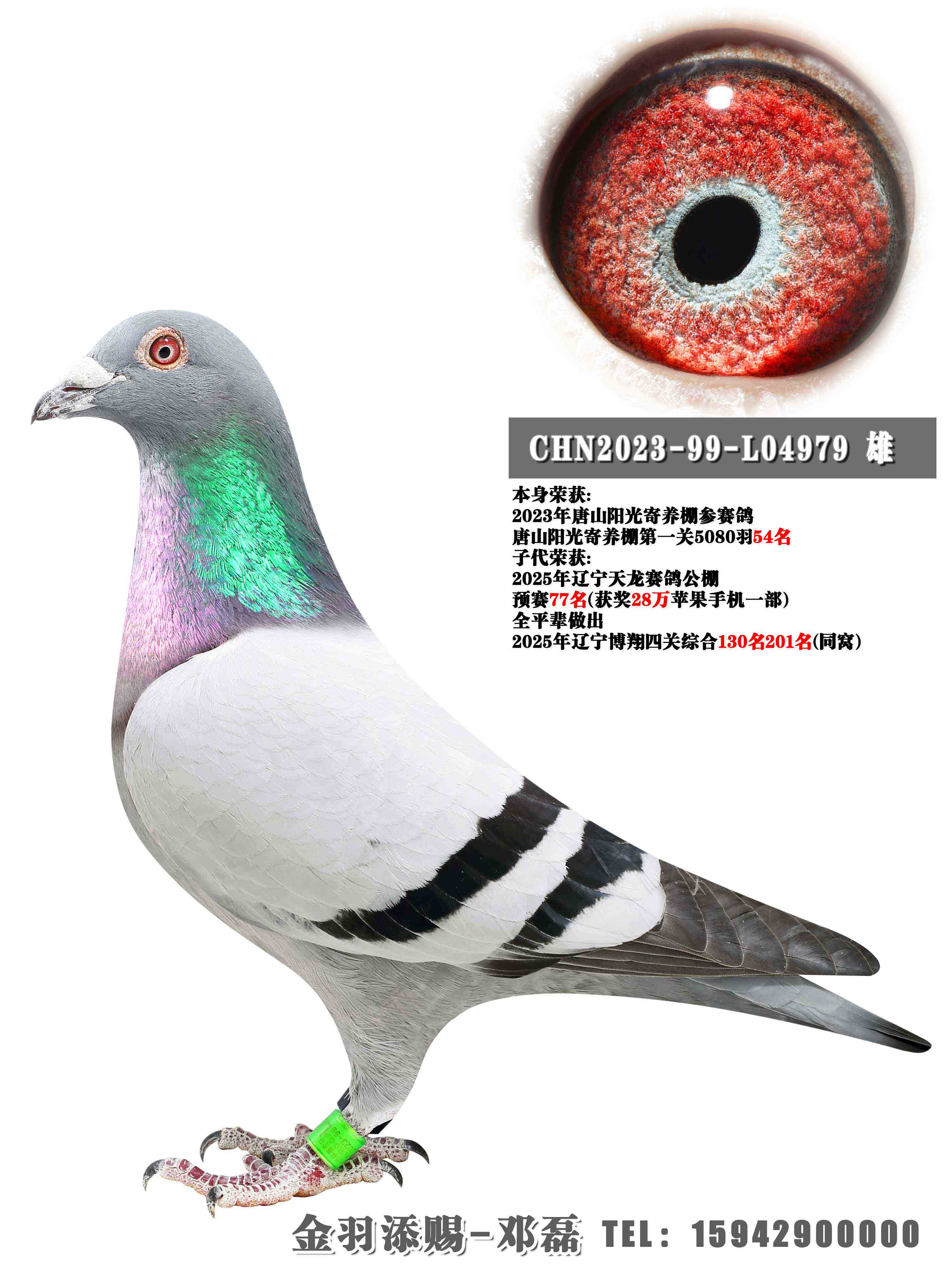 2023����ɽ����������׹�54��