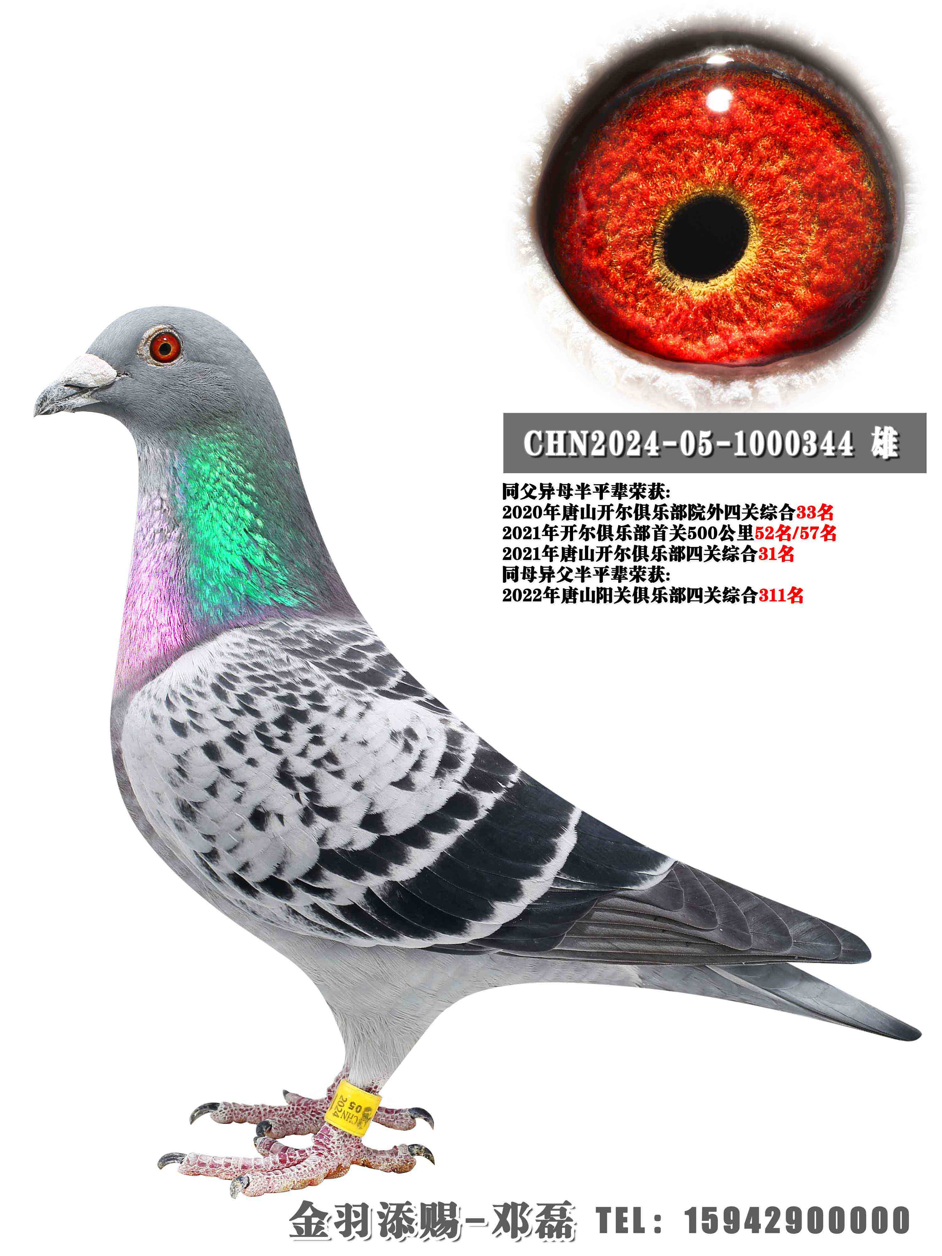 ��ڸ�ҵ252���׻�Ѫ