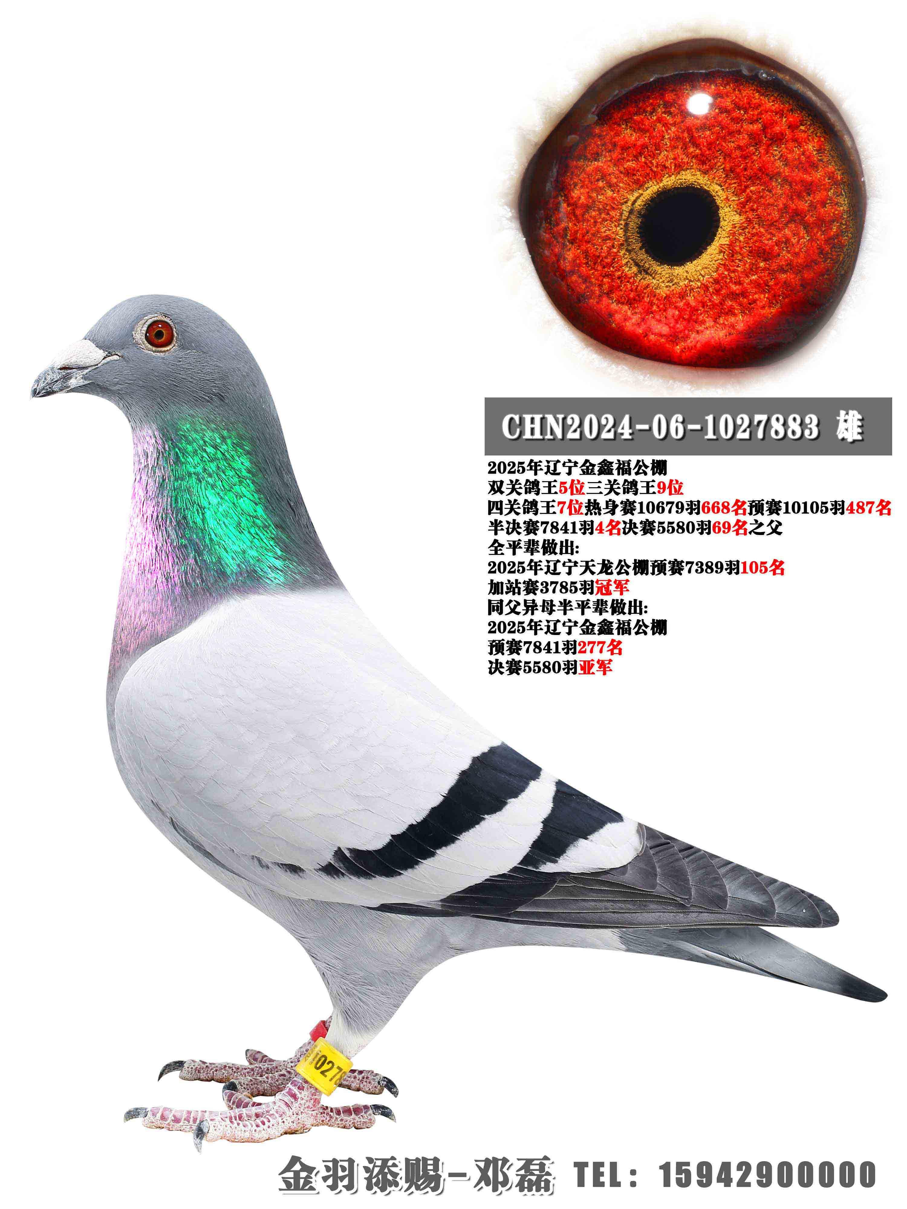 2025����θ��Ĺظ���7��֮��