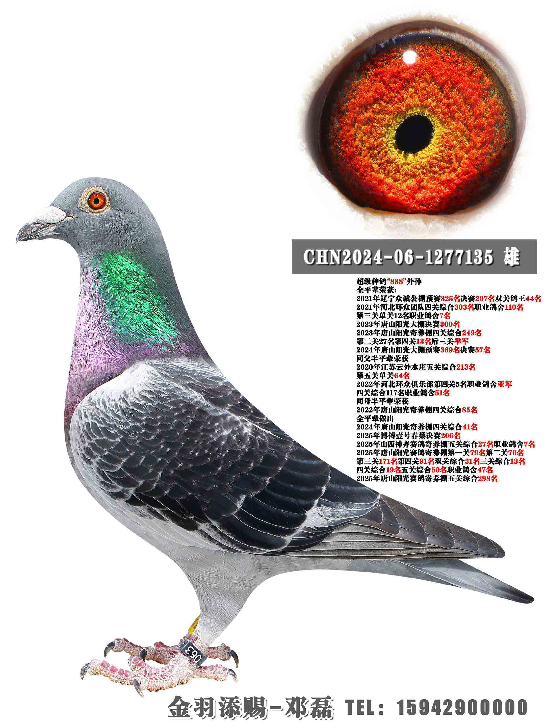 �����ָ롰888������