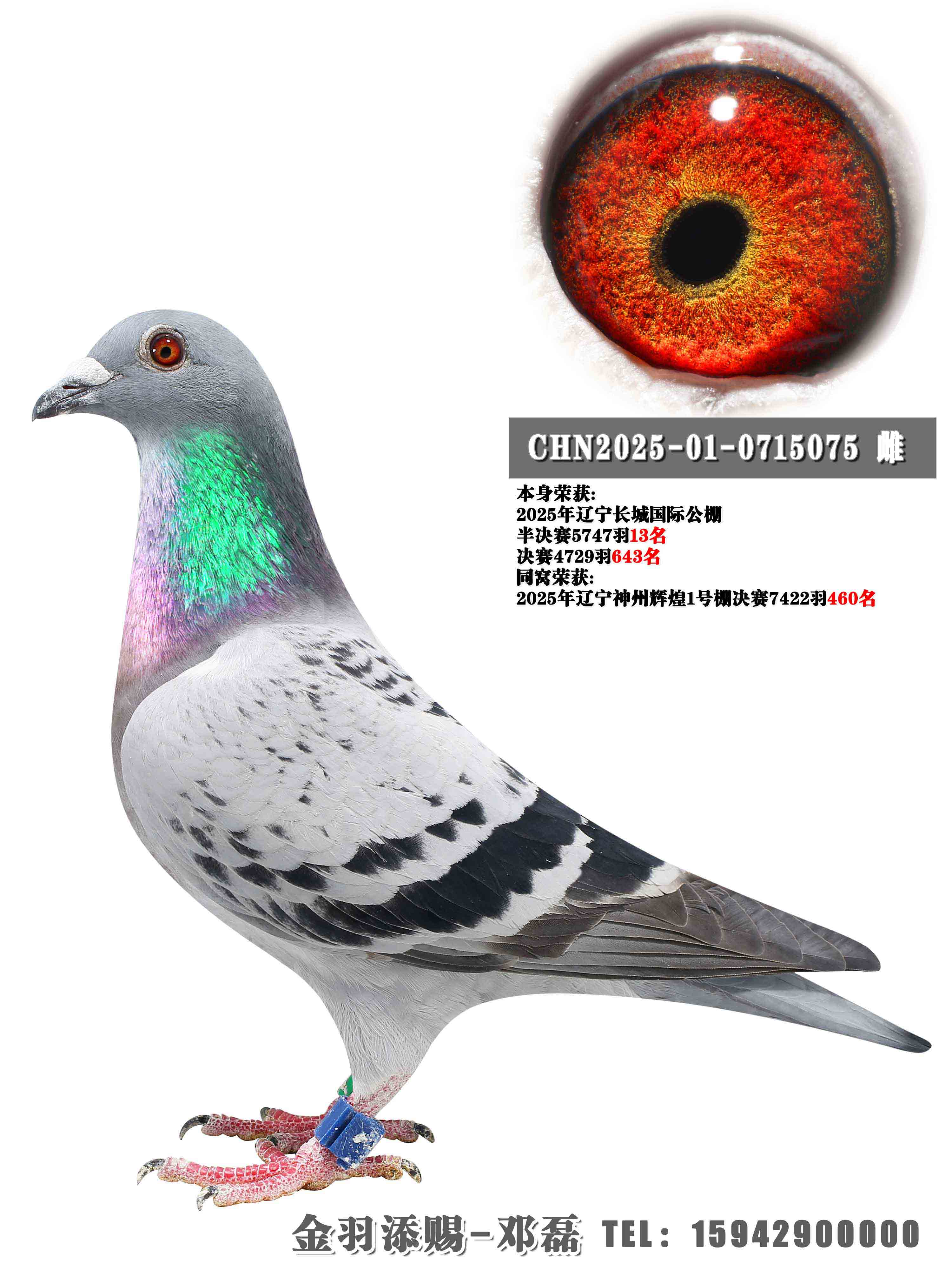 2025�곤�ǰ����13������643��