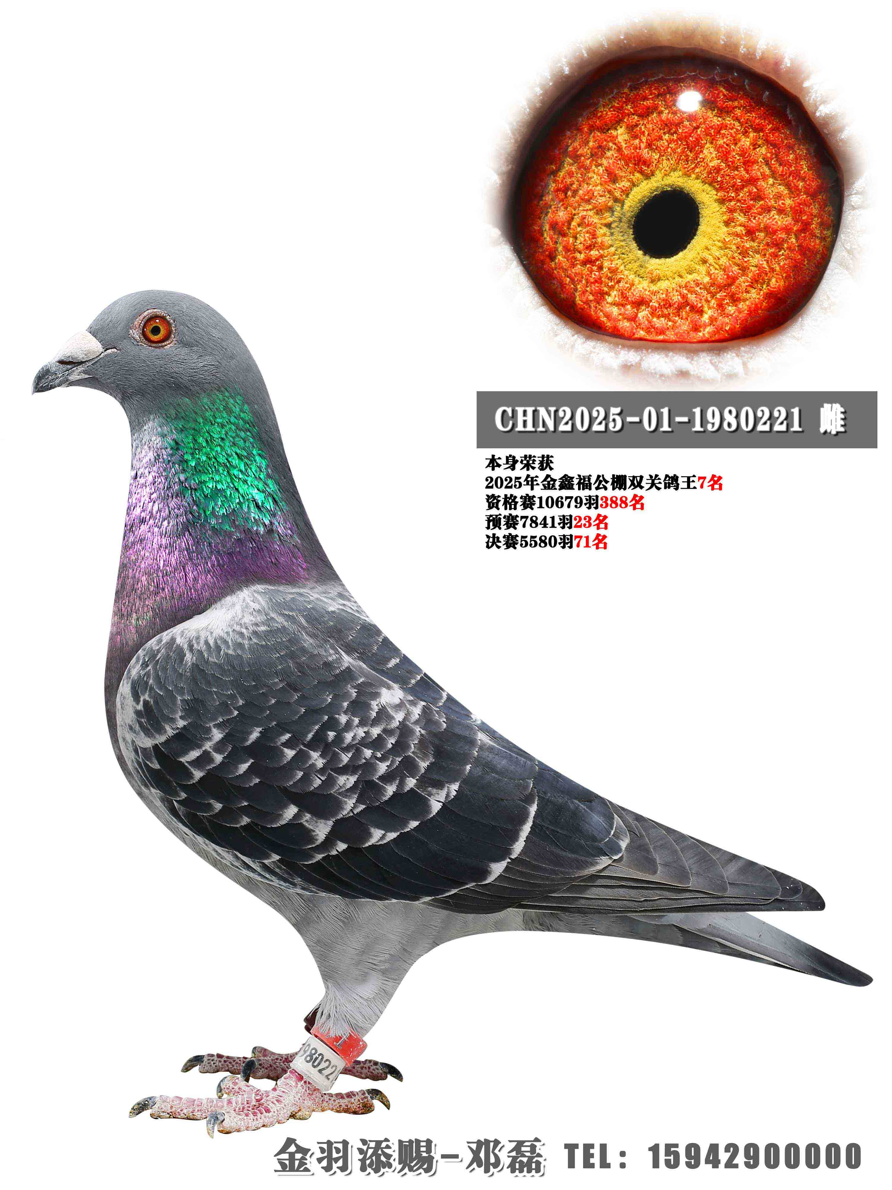 2025����θ�˫�ظ���7��