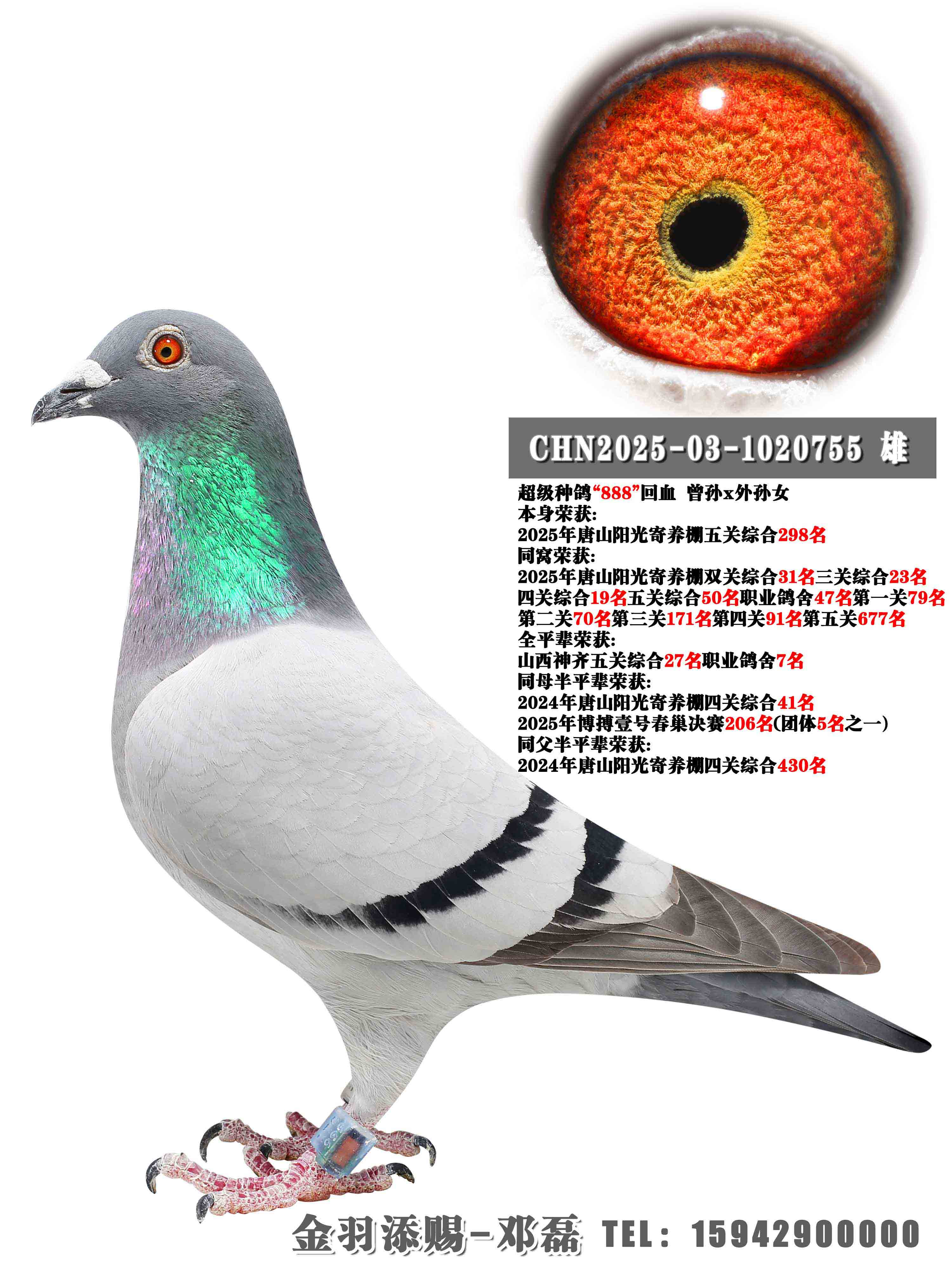 2025����ɽ���ؼ��������298��