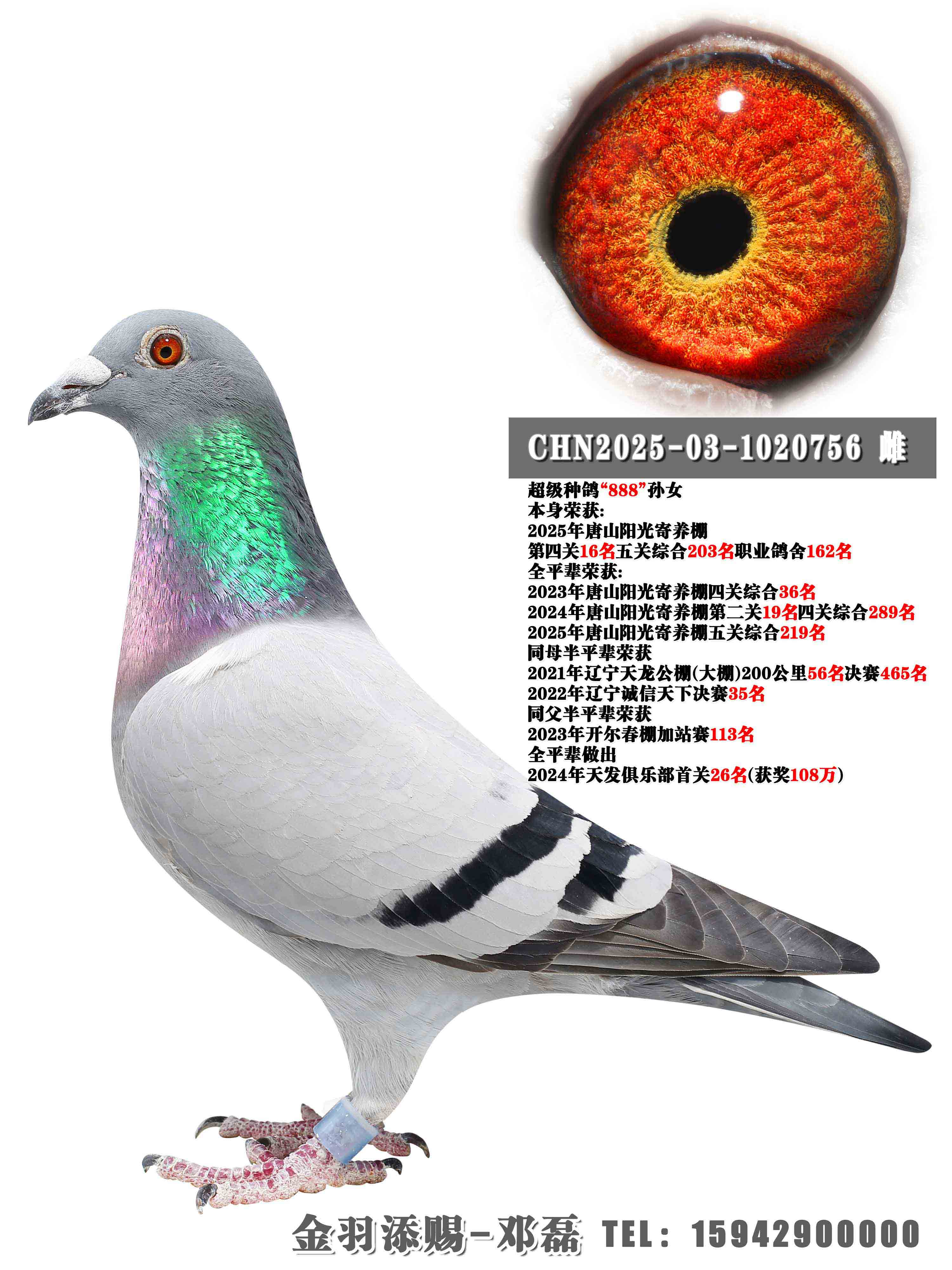 2025����ɽ�������203��