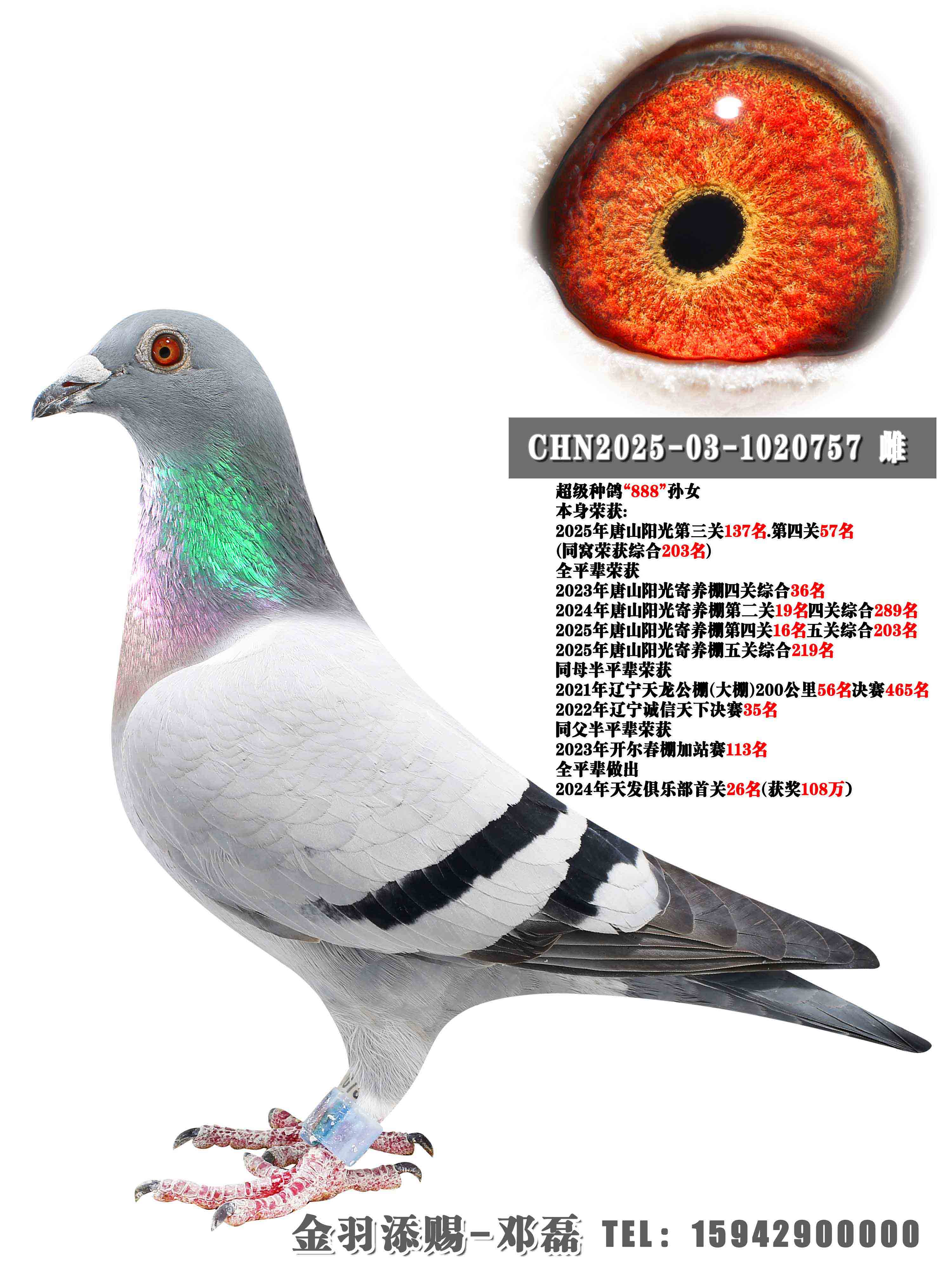 2025����ɽ������Ĺ�57��