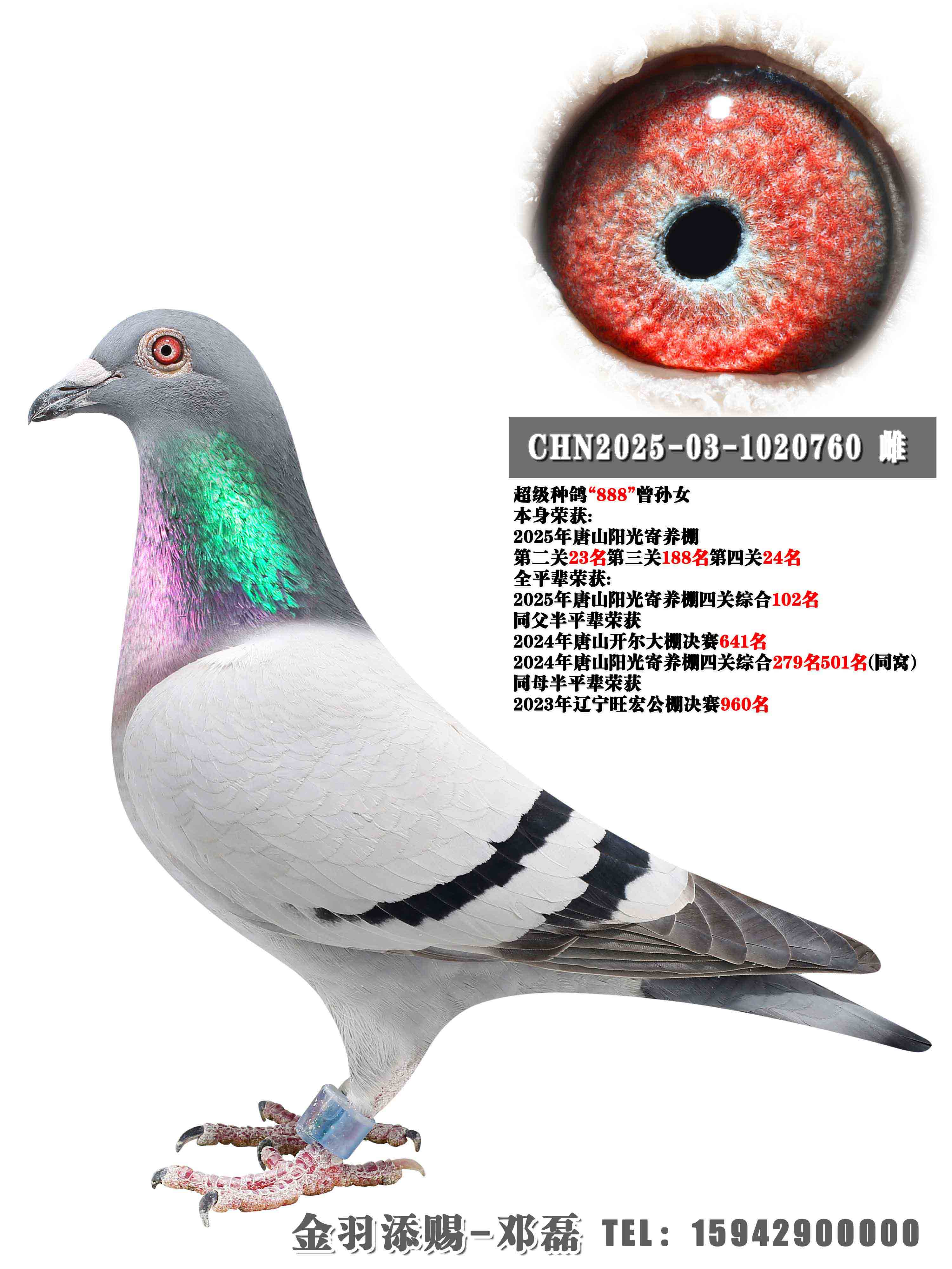 2025����ɽ���������ڶ���23��