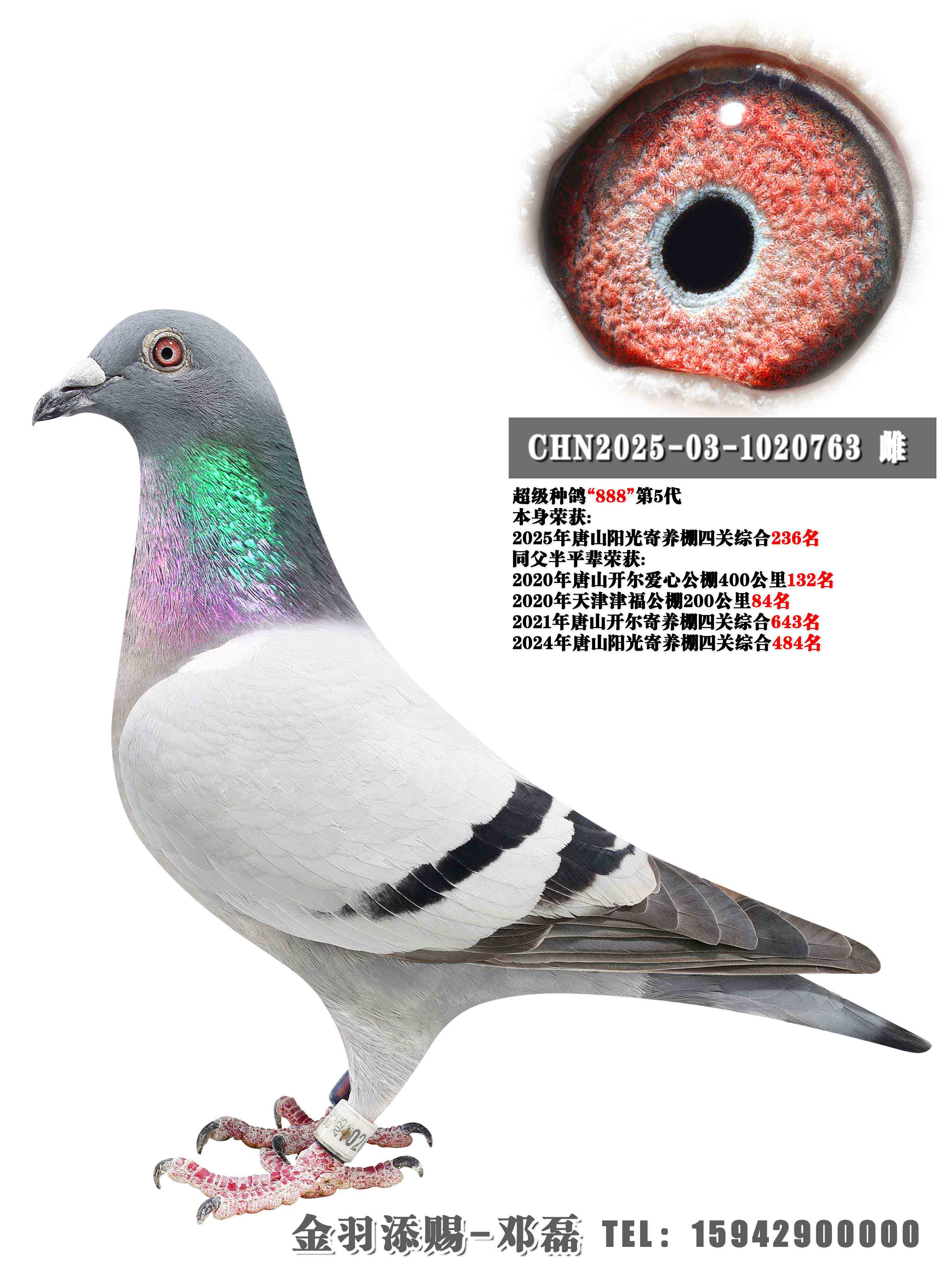 2025����ɽ������������236��