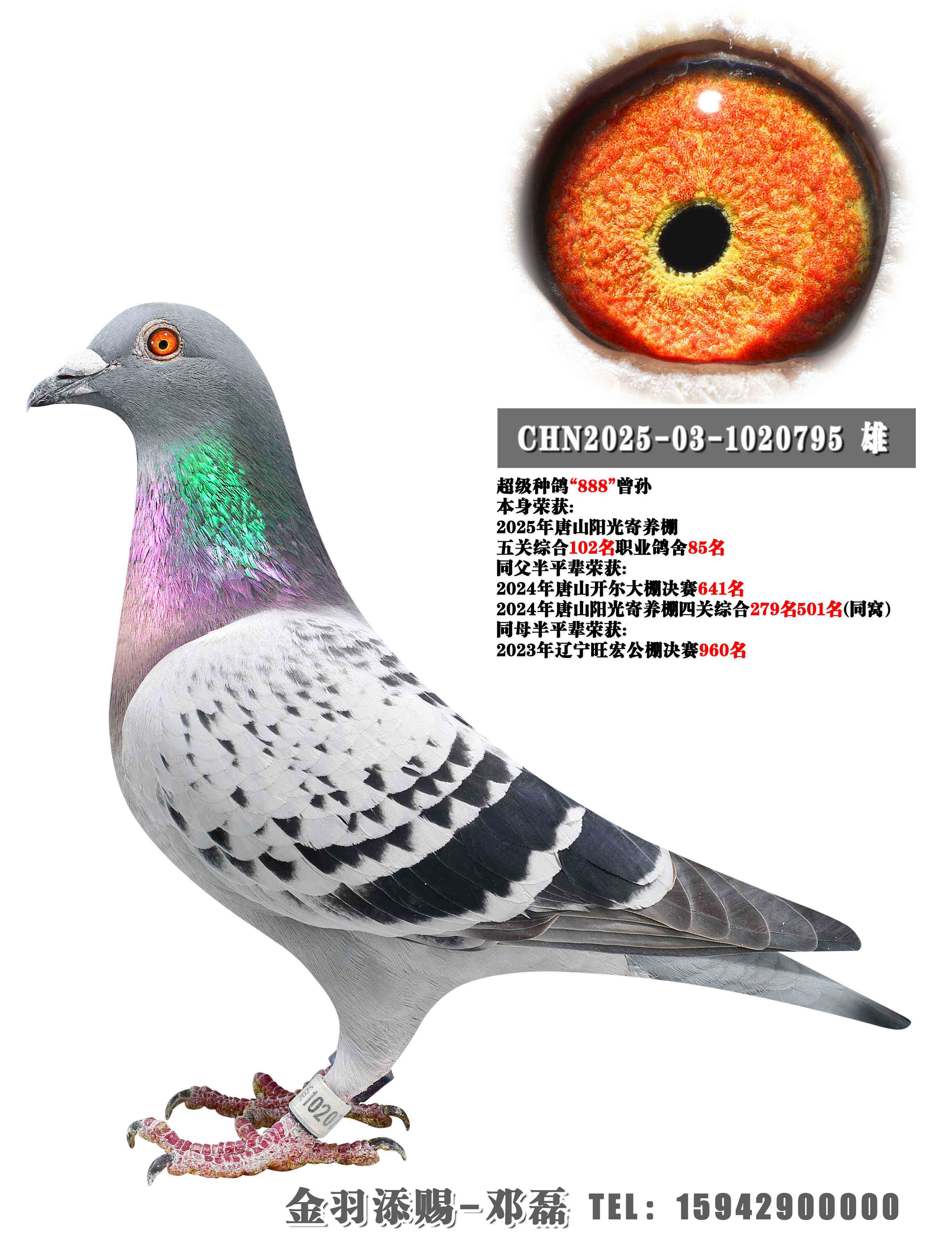 2025����ɽ�������������ۺ�102��