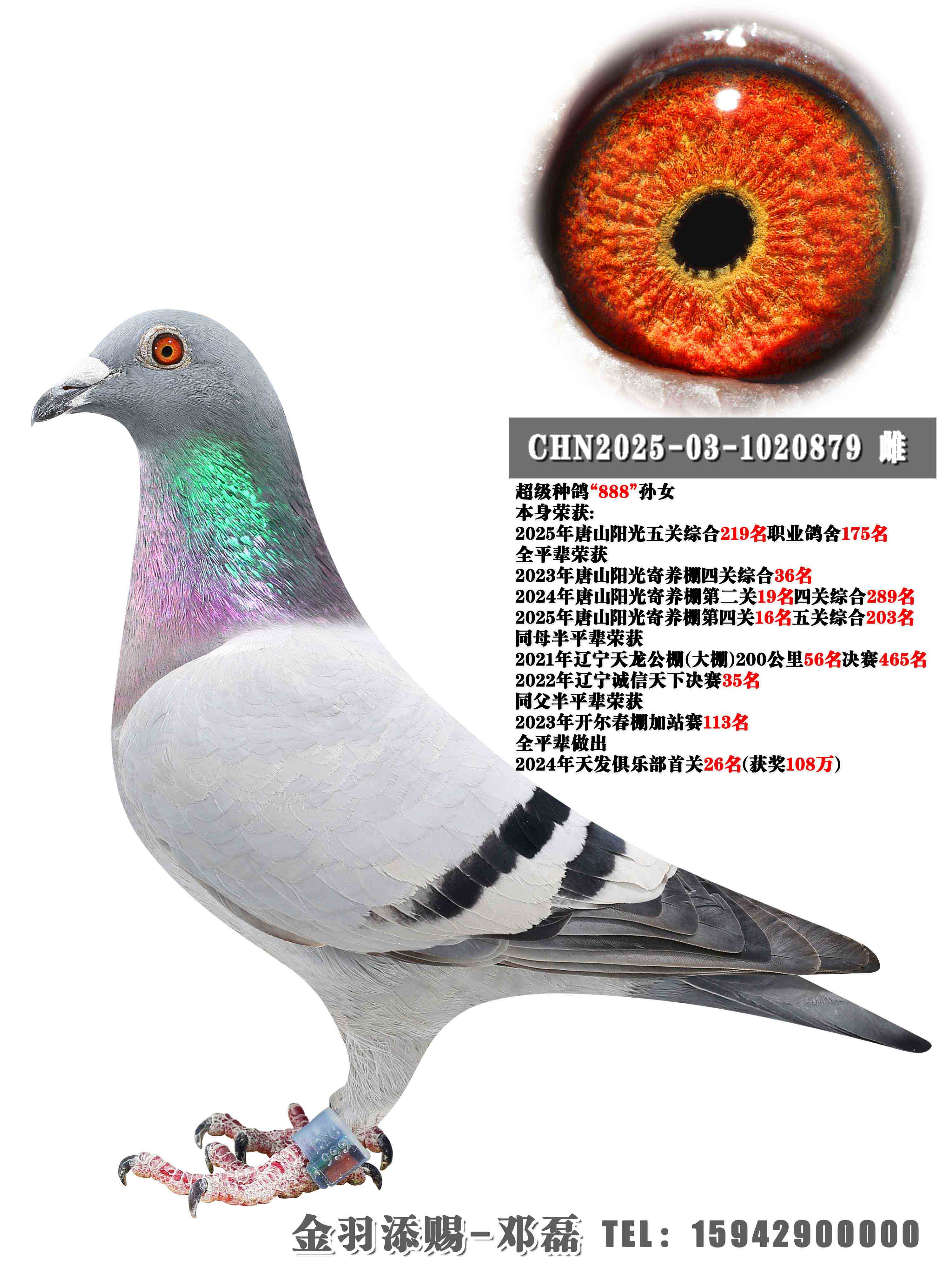 2025����ɽ�������������ۺ�219��