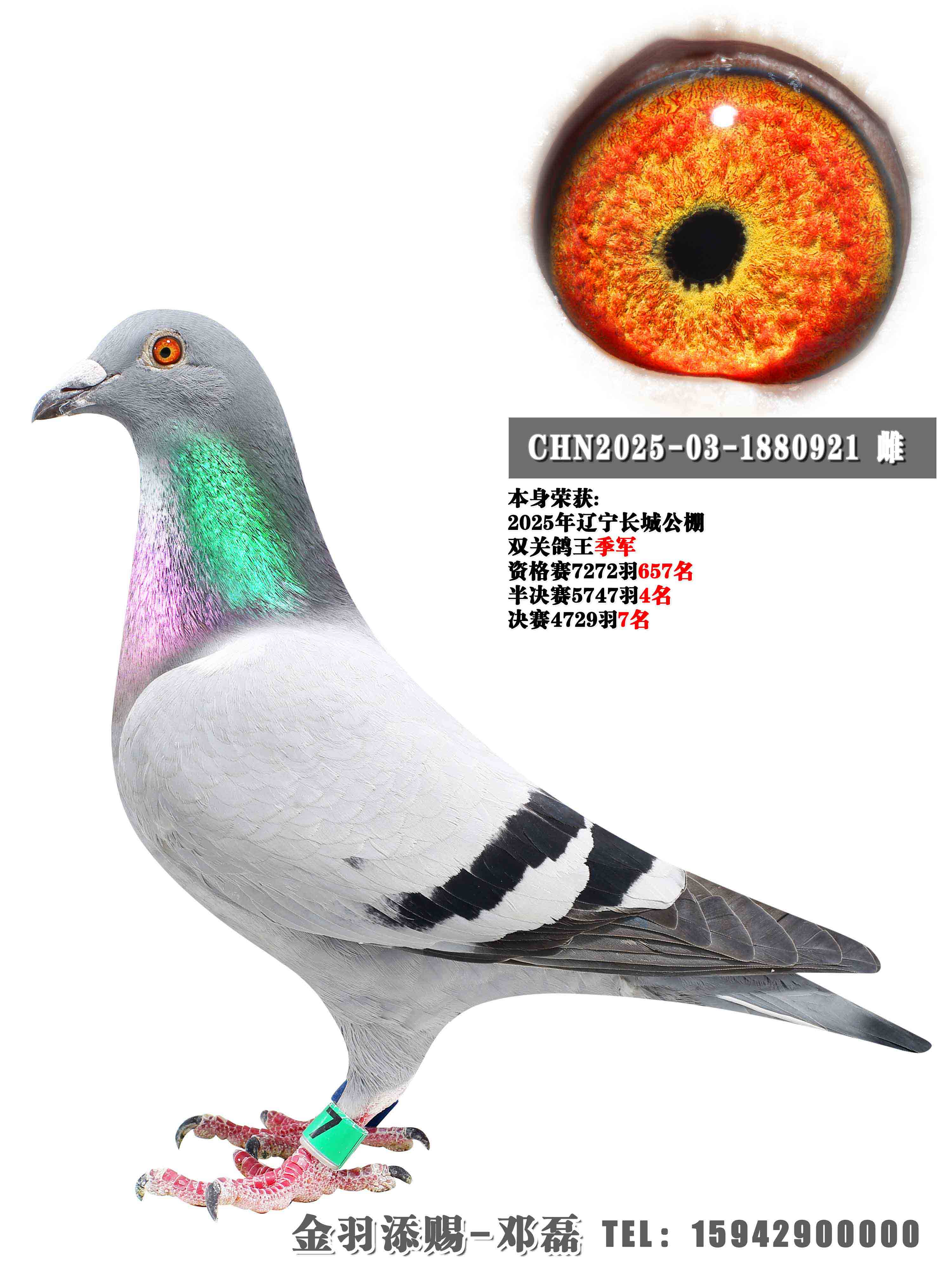 2025�곤�ǰ����4������7��