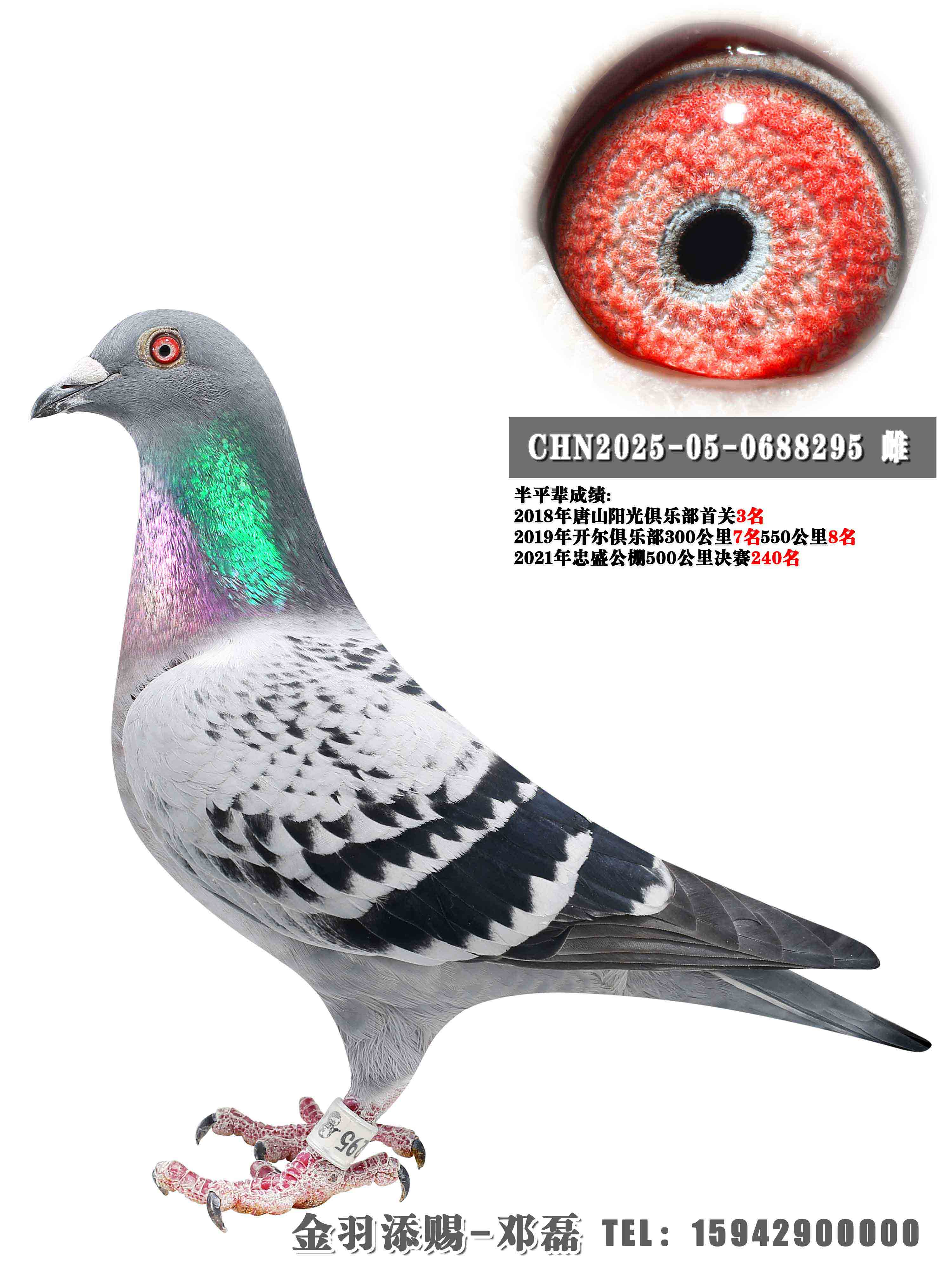 ��ڸ�ҵ887ֱ��