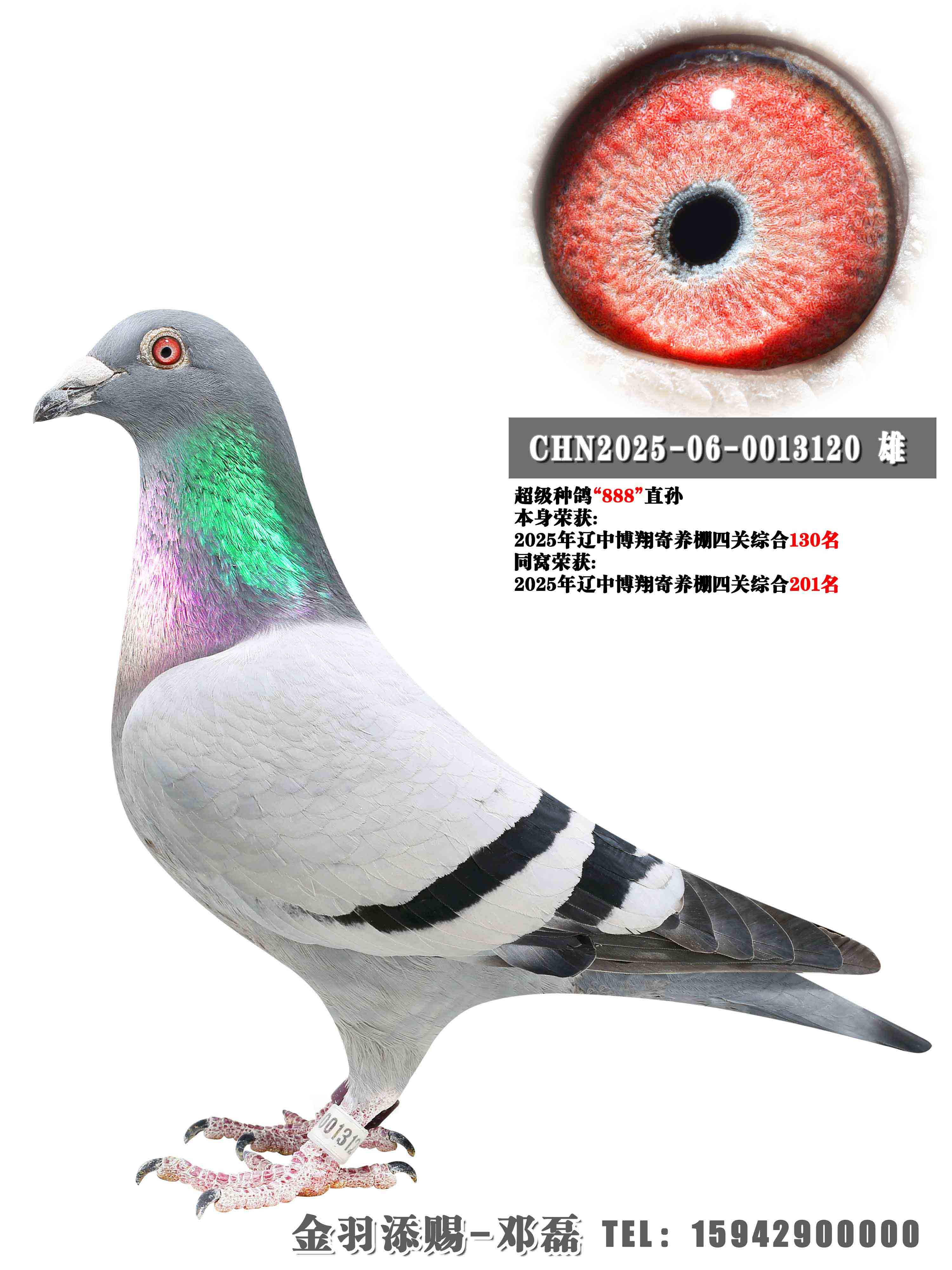 2025�����в���������Ĺ��ۺ�130��